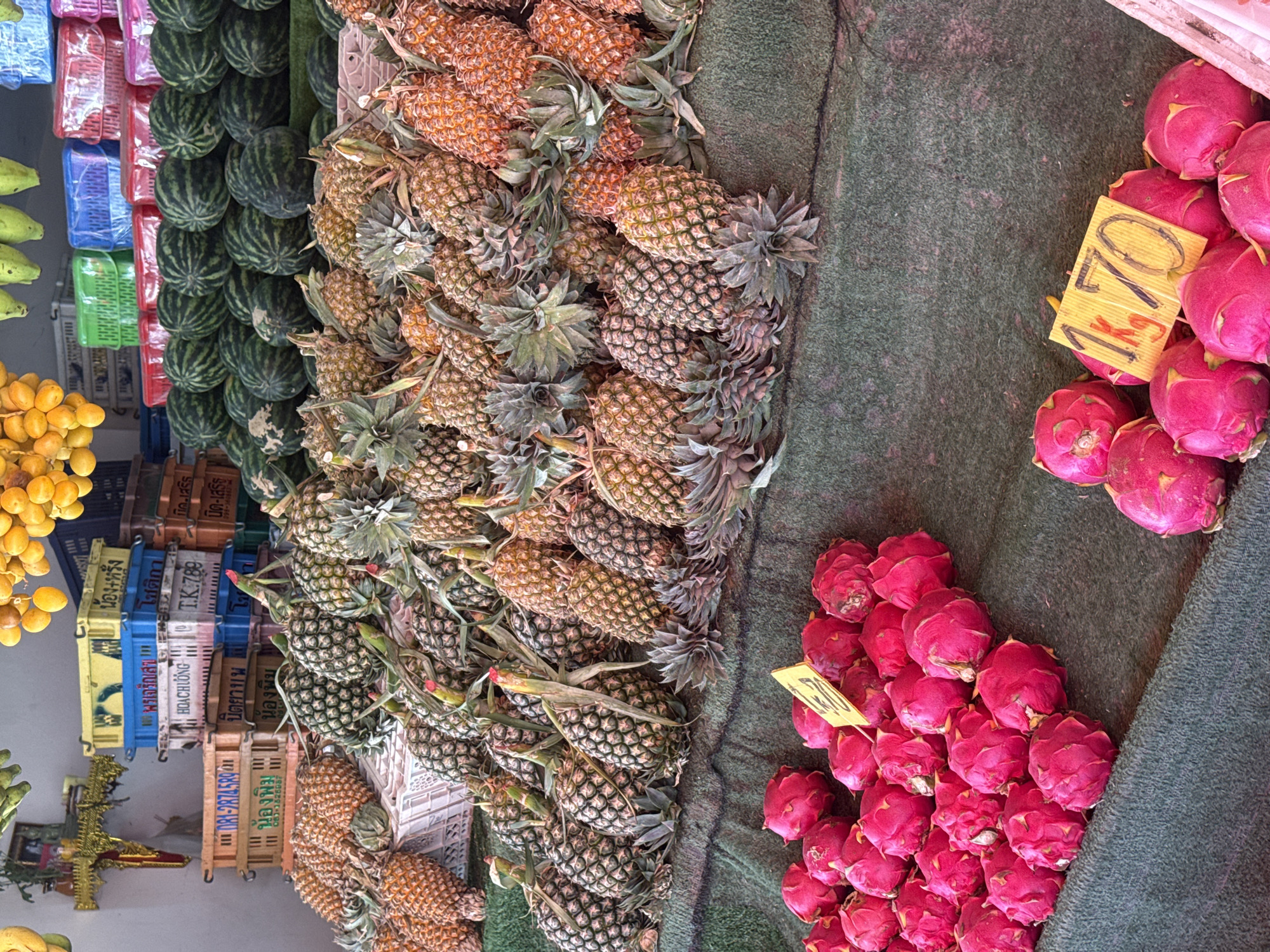 The image depicts an outdoor fruit stand in a market, likely in Ko Samui District, Thailand. In the foreground, rows of vibrant pink dragon fruits are displayed on a dark green, textured surface. Some of the dragon fruits have a yellow price tag labeled "1 Kg 70." Behind the dragon fruits, a large assortment of pineapples is arranged. These pineapples vary in color from green to golden brown and are densely packed. In the background, stacked plastic crates of various colors (yellow, blue, red, and pink) are visible, some containing more fruit or produce. Further back, rows of watermelons are neatly arranged, and above them, bunches of yellow fruit, possibly bananas or mangoes, are hanging. The overall scene suggests a bustling local market environment specializing in fresh fruit.