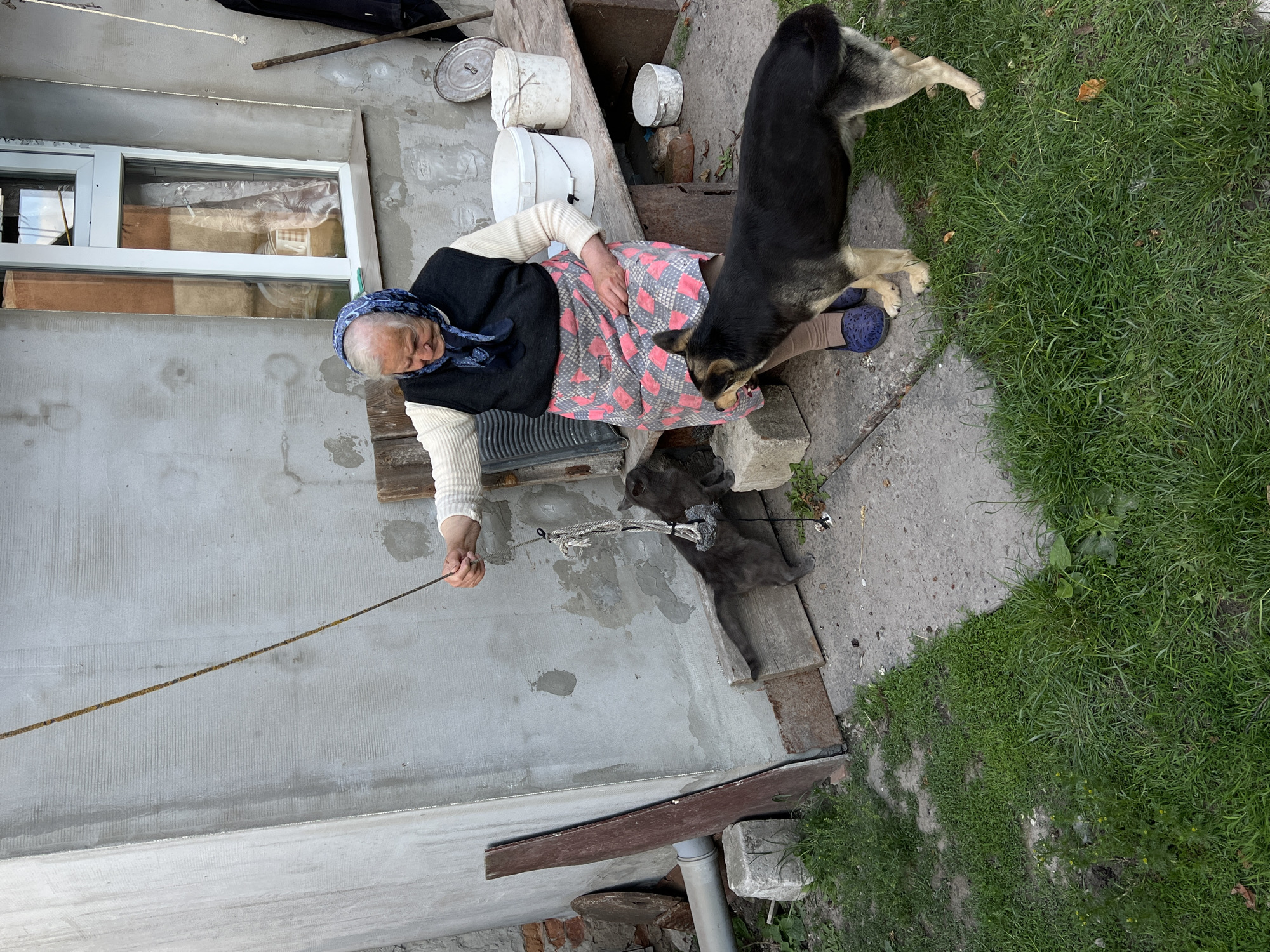 An elderly woman wearing a headscarf and a patterned apron plays with a cat using a string attached to a stick outside a concrete building in Vertelka, Ukraine. A German Shepherd-type dog stands nearby, observing the interaction. The environment consists of a concrete patio with grass patches, a wooden bench with buckets and various objects, and a weathered building with a window.