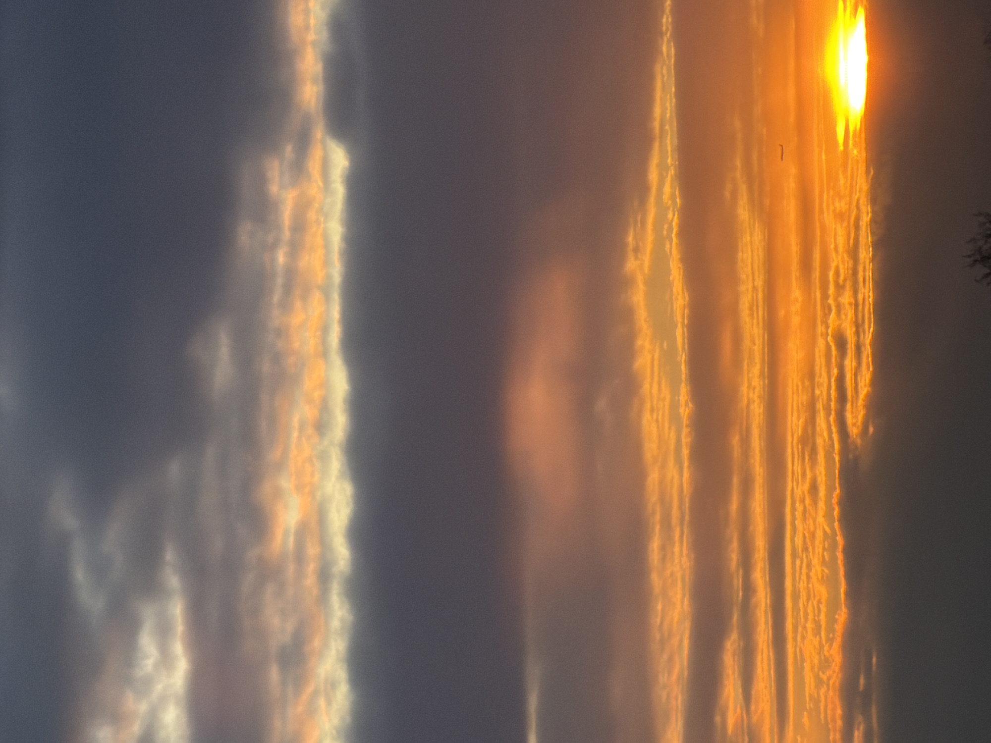 The image captures a dramatic sky scene during either sunrise or sunset, characterized by a striking interplay of light and shadow across cloud formations. The photograph is oriented vertically, but when viewed as a landscape (rotated 90 degrees counter-clockwise), the sun is positioned intensely bright on the right side of the frame, appearing as a brilliant yellow-white disc, partially obscured by clouds.
The sky is filled with layered clouds that stretch horizontally across the frame. On the right, closer to the sun, these clouds are intensely illuminated, glowing with vibrant shades of orange, gold, and bright yellow. Their edges are sharply defined and luminous, appearing almost molten. As the clouds extend towards the left side of the image, they transition into darker, more subdued tones of grey and blue-grey, suggesting areas where the direct sunlight is not reaching. However, some of these darker clouds still catch diffused light, exhibiting subtle orange and pink hues.
A notable detail is a very small, dark, elongated object, possibly a bird or a distant aircraft, silhouetted against the bright orange sky slightly to the left of the sun. On the extreme right edge of the frame (which would be the bottom right when viewed in landscape orientation), faint, dark, jagged shapes suggest the presence of silhouetted tree branches or foliage. The overall impression is one of powerful natural beauty, with the sun's low angle creating a dynamic and highly contrasting atmospheric display. There is no visible text in the image.