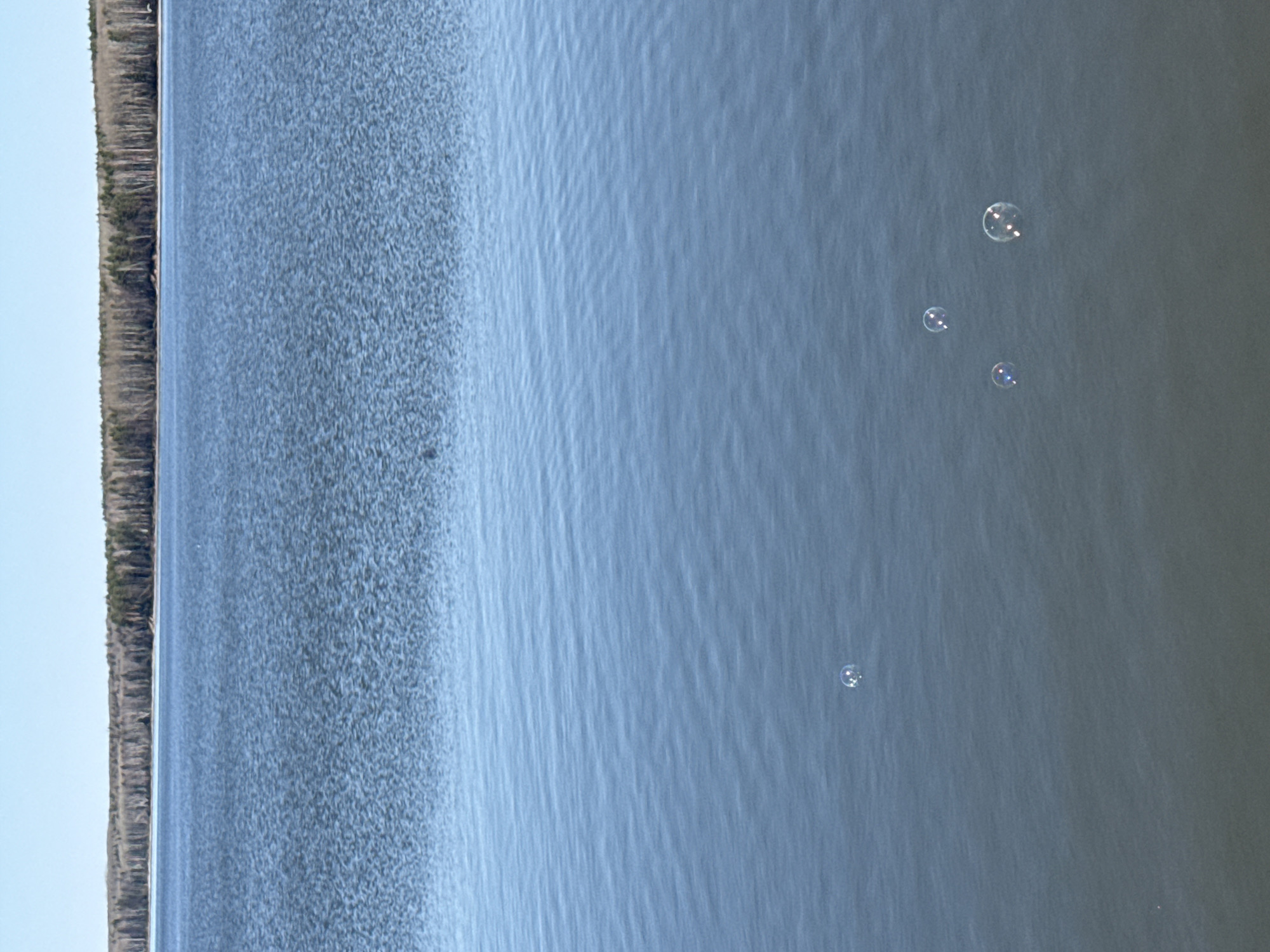 The image shows a body of water, likely a lake or river, with a shoreline visible on the left side. The water is light blue with subtle wave patterns. There are several bubbles floating on the surface of the water. The shoreline is lined with a dense row of trees. The sky is visible in the upper left corner and appears to be a pale blue. Given the presence of the bubbles in the water, it's possible that someone was blowing bubbles near the water's surface.
I cannot confirm the location in the city of Chaikovsky, Russia, based on the visual information provided.