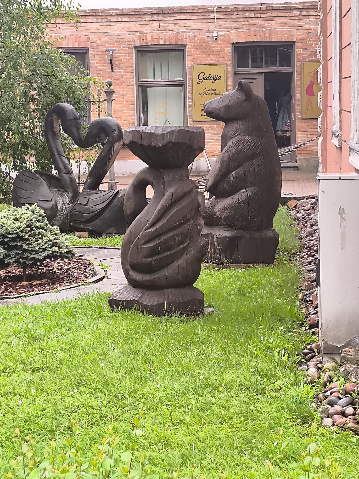 The image depicts an outdoor scene in Kuldīga, Latvia, featuring wooden sculptures of two swans and a bear in front of a brick building. The swans are carved to appear as if their necks are intertwined, forming a heart shape. One swan is more prominently featured in the foreground, with its head turned slightly. Behind the swans is a dark brown wooden sculpture of a bear, seated and facing towards the left side of the frame.
The building behind the sculptures is constructed of red brick and has multiple windows. One large entranceway is visible, with the door slightly ajar, revealing a glimpse of the interior. Two yellow signs with text are mounted on the brick wall. The sign on the left reads "Galerija" with smaller text below it. The sign on the right features a silhouette of a woman in a pink dress.
The sculptures are placed on a patch of green grass. A curved pathway made of grey stones and wooden planks is visible leading from the foreground into the scene. To the left of the pathway, there is a small, manicured evergreen shrub. The ground around the sculptures and building is a mixture of grass, scattered stones, and mulch. The overall atmosphere suggests an artistic display or a public space with decorative elements.