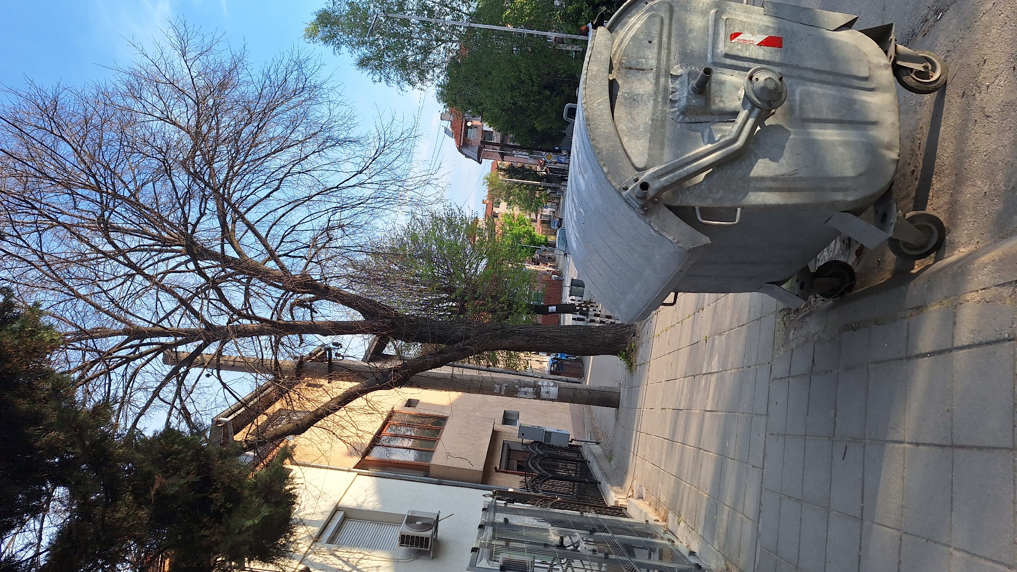 A medium shot depicts an urban scene in Blagoevgrad, Bulgaria. The foreground showcases a large, grey metal dumpster on a paved sidewalk. Behind the dumpster, a leafless tree's bare branches extend toward a blue sky. In the background, buildings with light-colored facades and red tile roofs line a street with other trees. Air conditioning units are visible on the walls of the buildings adjacent to the sidewalk.