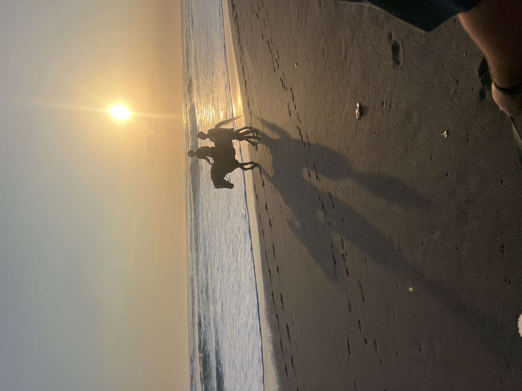 Two silhouetted figures are on horseback on a beach at sunset. One figure is riding the horse, while the other walks beside it. The sun is low on the horizon, casting a warm glow over the scene. The ocean is calm, with gentle waves lapping at the shore. The beach is dark sand, with footprints visible in the sand. The location is the beach of Kediri, Indonesia.