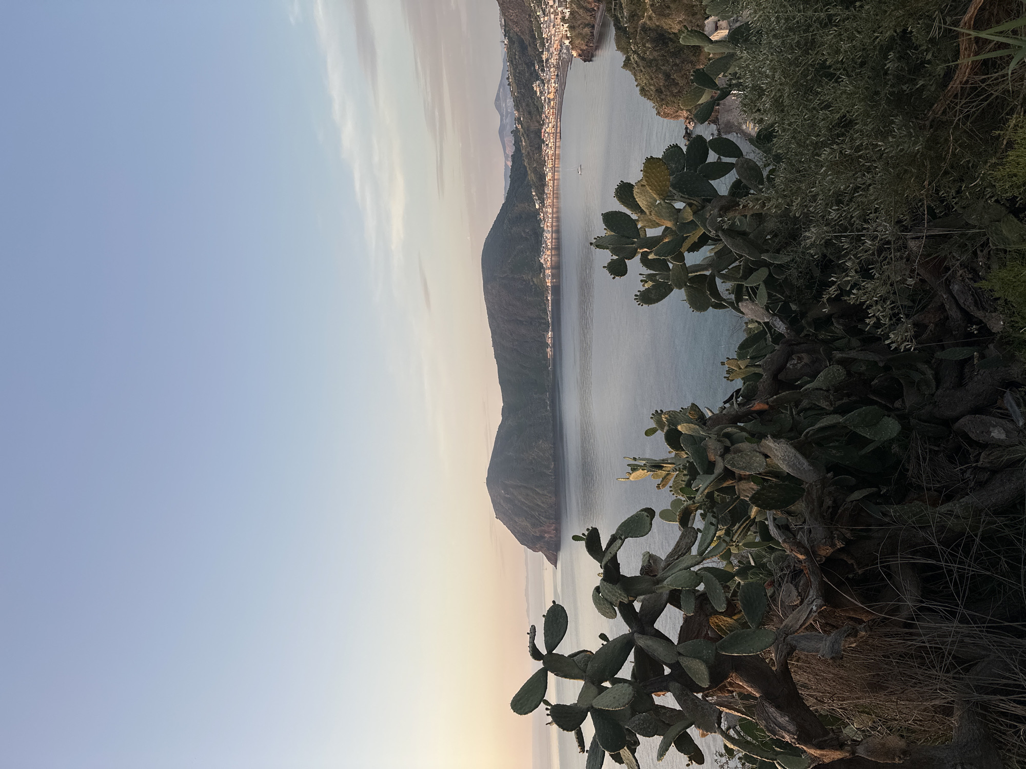 The image displays a serene coastal landscape of Lipari, Italy, viewed from an elevated vantage point. The scene is oriented horizontally, revealing a blend of natural flora and a tranquil settlement.
In the foreground, dense Mediterranean vegetation fills the lower and right sections of the frame. Prominent among these are large, vibrant green prickly pear cacti (Opuntia), characterized by their broad, paddle-shaped segments. These cacti are intertwined with other dark green bushes and some dry, woody branches.
Beyond the immediate vegetation, a calm expanse of deep blue-grey sea or bay occupies the midground. Along the distant shore, a town or settlement stretches horizontally, its buildings illuminated by numerous lights, suggesting either a late evening or early morning scene. A long, dark, mountainous landmass emerges from the water, extending into the distance and partially overlapping with the town. A small, white boat is subtly visible on the water closer to the town.
The background features a clear sky, transitioning smoothly from a pale, soft blue near the horizon, where a warm, subtle glow is present, to a slightly deeper blue overhead. Delicate, wispy clouds are scattered across the upper right quadrant of the sky. The overall lighting, with the town lights on and the soft sky gradient, points towards either dusk or dawn. The atmosphere is peaceful and picturesque. No people or visible text are present in the image.