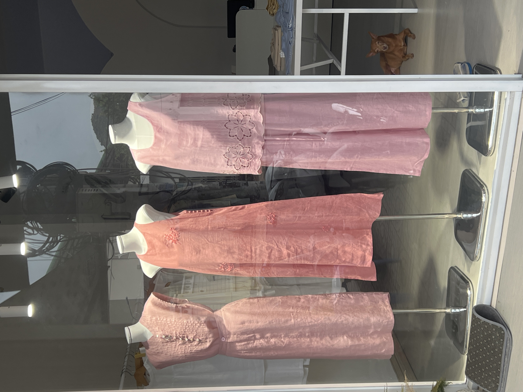 A storefront display case in Bac Nha Trang Ward, Vietnam, presents three pink garments on white mannequins. The top garment is a two-piece outfit with floral detailing. The middle garment is a dress with floral accents. The bottom garment is a dress with button detailing. Reflections on the glass display show outdoor scenery, including a green hillside and a cloudy sky. Inside the shop, above the display case, a small brown dog is visible on a shelf near clothing racks and other items.