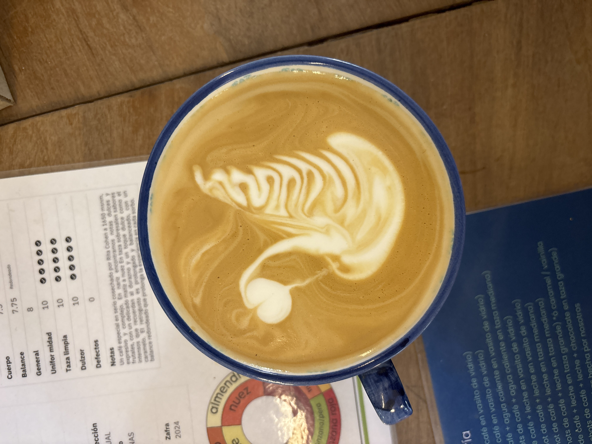 The image shows a close-up, overhead view of a cappuccino in a blue-rimmed mug. The foam art features a complex, layered design. The mug sits atop a wooden table. To the left of the mug is a printed document with coffee-tasting notes in Spanish. To the right is a blue menu, also in Spanish, describing different types of coffee drinks. It includes a coffee flavor wheel, indicating almonds and nuts as flavor notes. "Zafra 2024" is printed on the menu. The photo was likely taken in a cafe in Buenos Aires, Argentina, based on the language of the menus and documents, and the presence of Spanish-language coffee offerings.