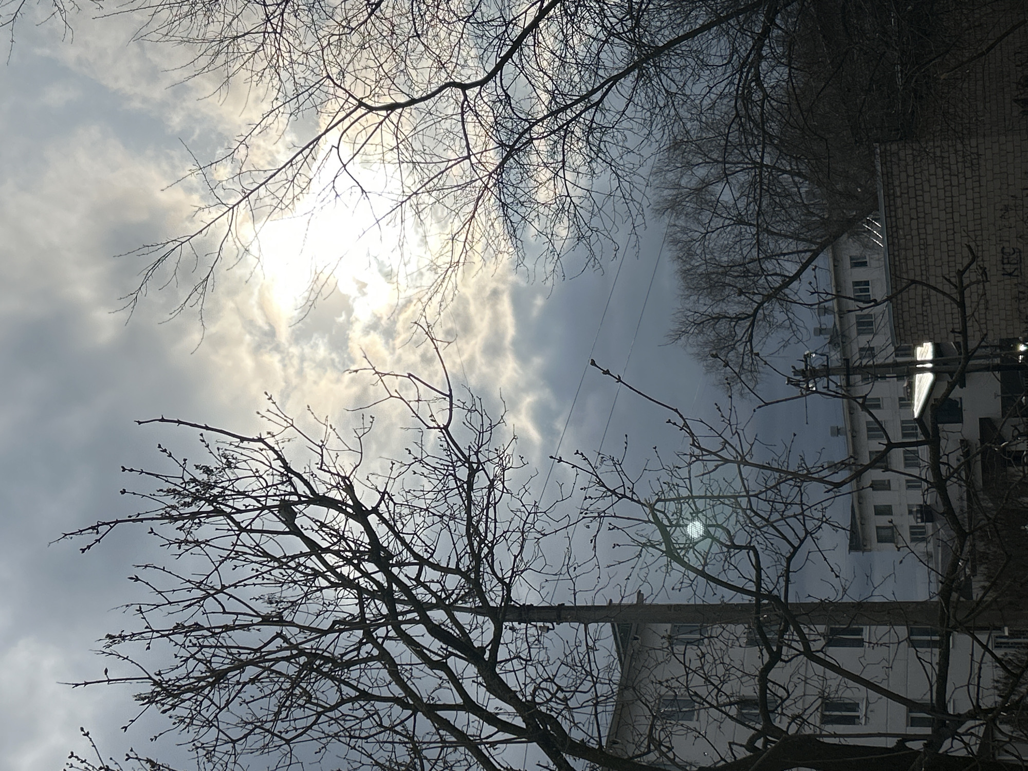 The image depicts a low-angle view of bare tree branches against a cloudy sky with the sun obscured by clouds. Buildings are visible in the background on the right side. A utility pole and wires are also present. The image appears to have been taken in Chaikovsky, Russia, though there is no specific visual confirmation of the exact location within the city.