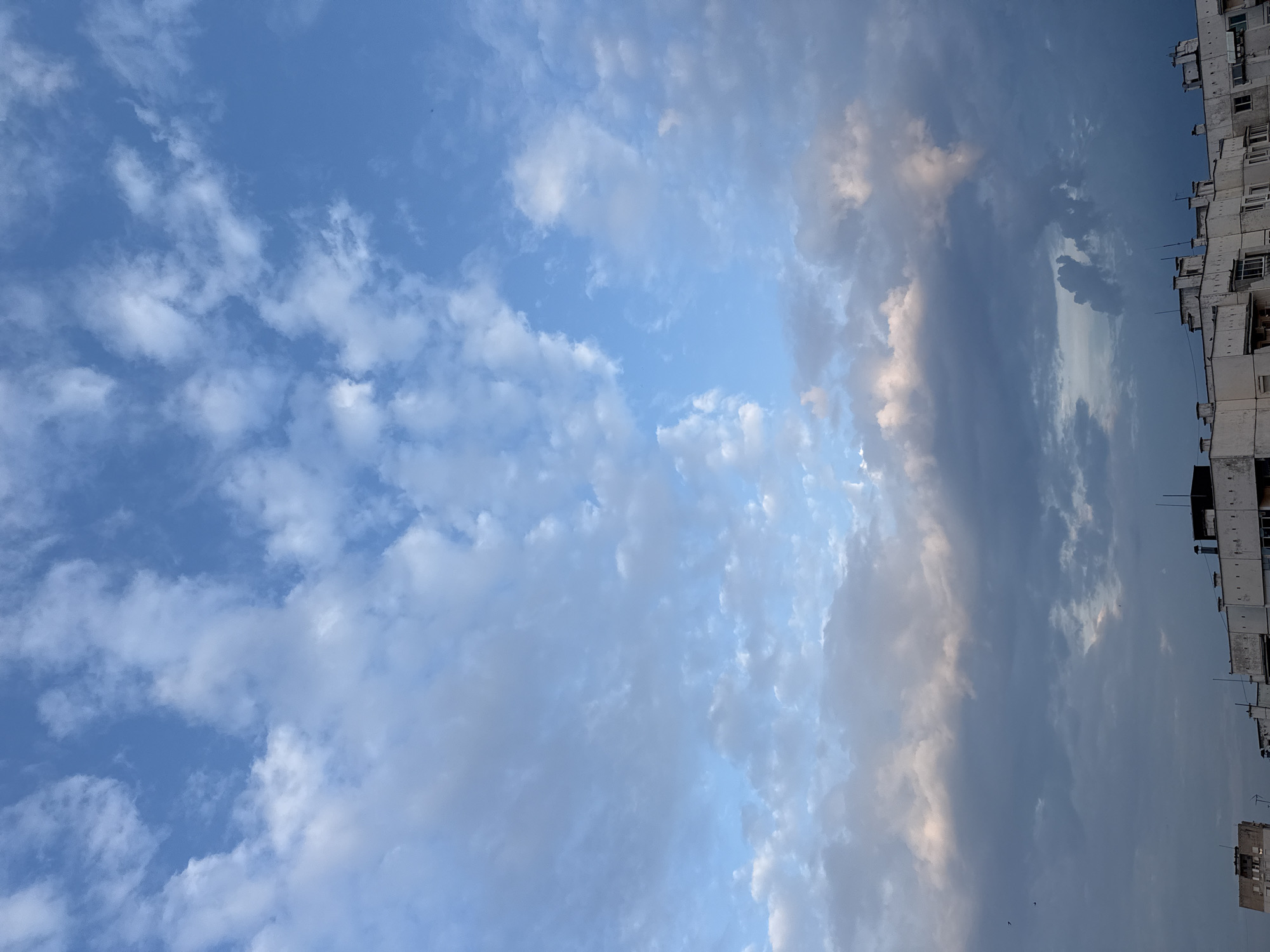 This vertical urban landscape captures a cloudy sky over Pleven, Bulgaria. The upper third of the image features a bright blue sky with scattered white cumulus and cirrus clouds. The middle and lower sections of the sky are predominantly covered by a dense layer of grey and dark blue stratocumulus clouds, with some areas exhibiting lighter, almost pinkish-white hues from incidental light. Small dark specks, consistent with birds, are visible against the clouds in the mid-left portion of the frame. Below the sky, the rooftops and upper floors of several multi-story residential buildings are visible. These structures are off-white or light-colored, featuring flat roofs equipped with chimneys, ventilation shafts, and various antennae. The architectural style suggests post-mid-20th-century construction common in Eastern European cities. No people are visible. The overall lighting conditions suggest an overcast day or the approach of dusk.