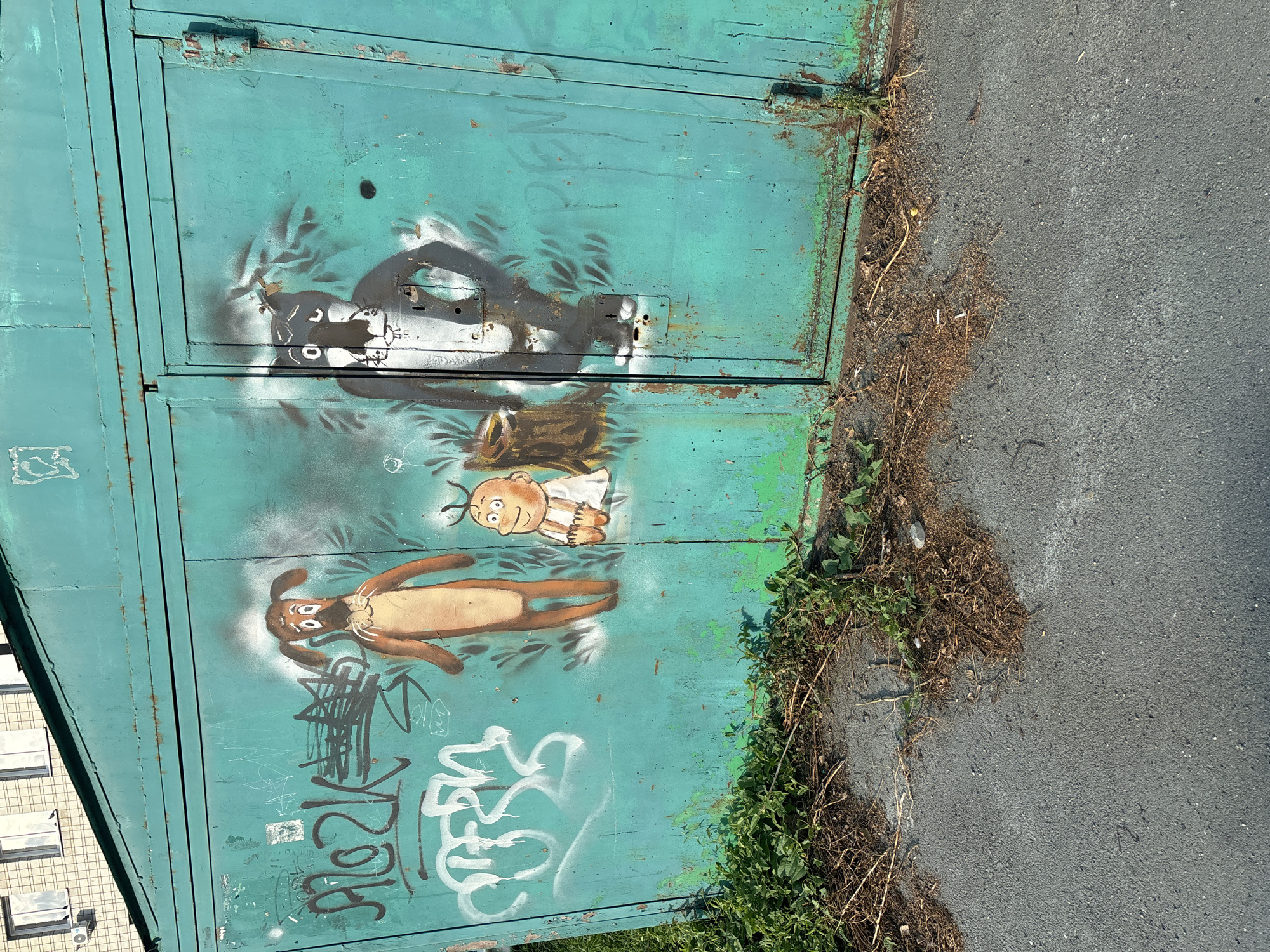 The image depicts graffiti art on a teal-colored metal garage door in an outdoor urban setting. The graffiti features cartoonish characters: a brown dog with large ears and wide eyes, a small child-like figure with orange skin and a white garment, and a black and white cat-like creature. The dog appears to be wearing a bow tie, and the cat-like creature has its hands on its hips. Between the dog and the cat-like creature is a brown, cylindrical object that could represent a tree stump or a sack. Several tags and scribbles in different colors, including black and white, are also visible on the garage door.
The garage door itself shows signs of wear, with rust spots and peeling paint, particularly around the edges and hinges. The lower part of the image shows a patch of green, leafy plants and dry, brown vegetation growing along the base of the garage and encroaching onto the asphalt. The ground in front of the garage is asphalt, with some debris scattered on it. In the background, the top portion of a building with multiple windows and an air conditioning unit is visible. The overall impression is one of an urban environment with evidence of street art and neglect.
This scene is located in Novosibirsk, Russia.