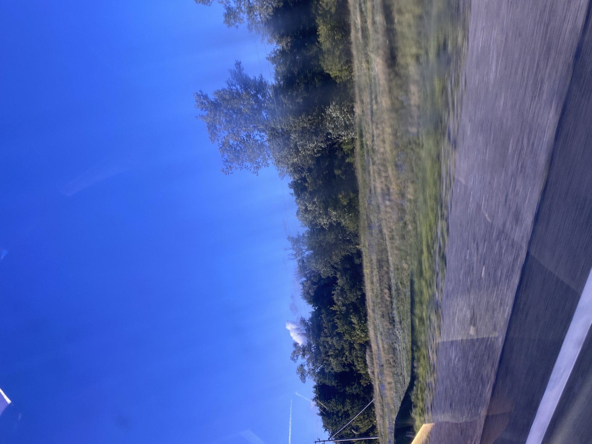 The image shows a bright blue sky with a few wispy clouds. On the right side of the frame, there is a road with white markings, suggesting a highway or paved road. Adjacent to the road, there is a grassy area and a dense line of trees. Some of the trees are tall and full, while others appear more sparse. In the distance, a plume of white smoke or steam rises from behind the trees, partially obscured by foliage. A faint contrail from an aircraft is visible in the sky, stretching across the blue expanse. The overall impression is of a sunny day, possibly late morning or afternoon, in a rural or semi-rural setting. The image appears to be taken from a moving vehicle due to the motion blur on the road and the perspective. There are no visible people or discernible text in the image.
