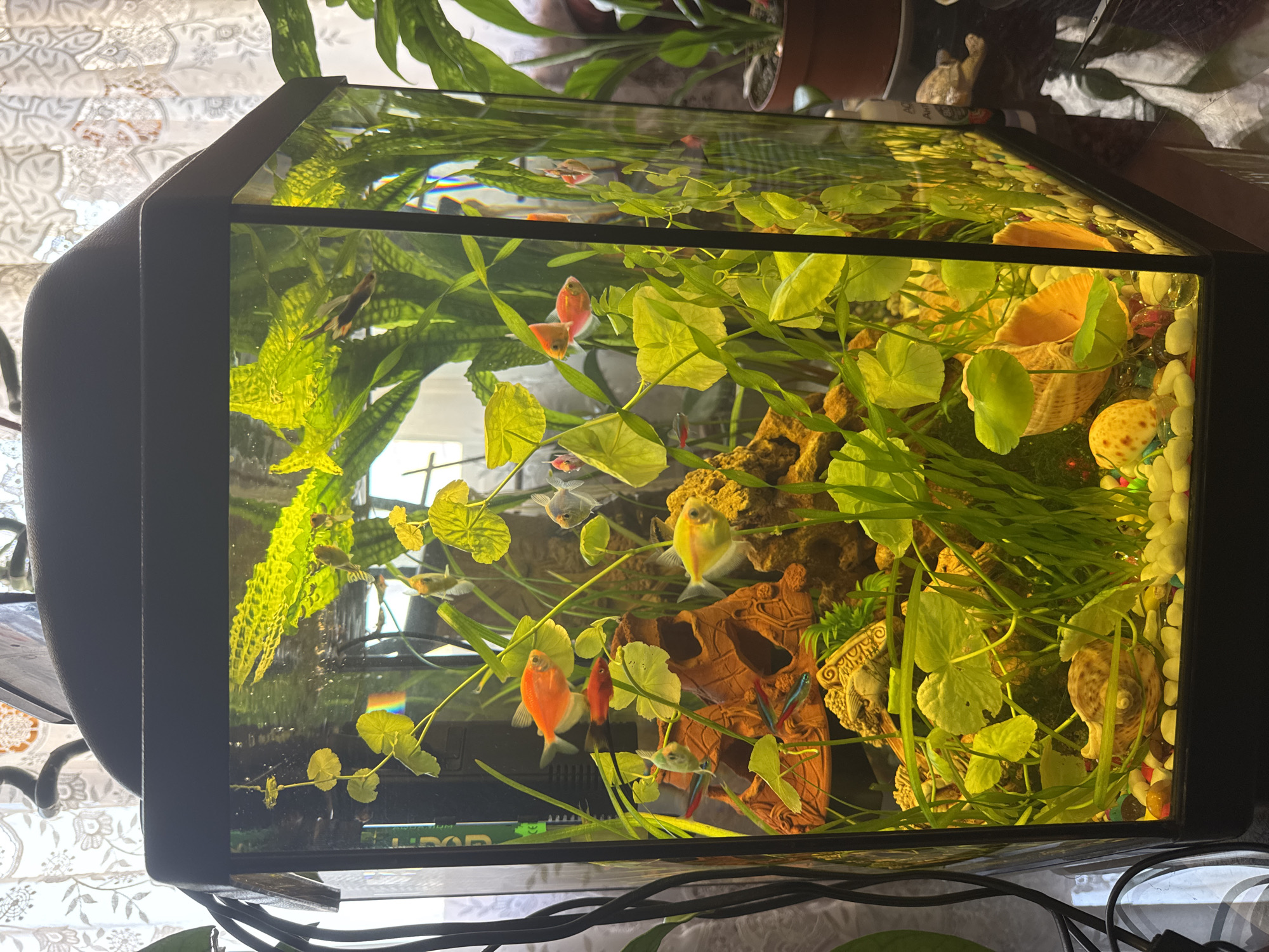 Memory