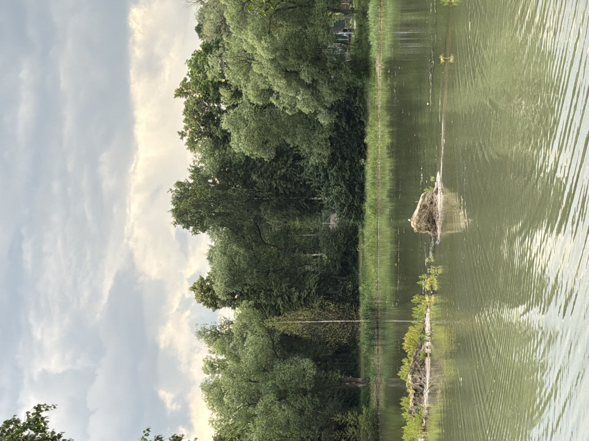 A body of calm, green water stretches across the foreground of the image, reflecting the overcast sky and the lush green trees that form a dense backdrop along the far bank. The water's surface is marked by subtle ripples. Several small rocky islands with sparse vegetation are visible in the water. A thin, light-colored tree stands vertically in the middle ground, its leaves a bright green against the darker foliage behind it. The trees on the far bank are a mix of deciduous and coniferous species, with a variety of shades of green. In the far distance, a hazy structure or fence line can be seen through the trees on the right side of the frame, and a single figure on a bicycle is visible near the trees. The sky is filled with heavy, grey clouds, suggesting a dull or possibly rainy day. This scene is located in the Bykovo settlement, in the Ramensky District of the Moscow Oblast, Russia, specifically within the park of the Bykovo estate, known for its architectural ensemble and natural landscape.