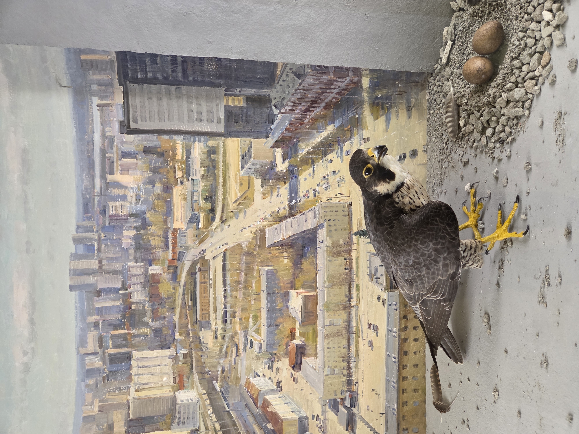 The image depicts a taxidermied peregrine falcon positioned in the foreground on a gray concrete ledge. The falcon is facing the viewer's left, with its bright yellow talons visible. To the right of the falcon, in a nest made of gravel and small stones, are two bird eggs and a feather. Behind the falcon and nest is a large oil painting of an urban landscape, which appears to be the city of Yekaterinburg, Russia, based on stylistic elements and the composition of buildings and infrastructure. The painting shows a dense collection of residential and office buildings, a wide street with traffic, and a distant body of water. A large gray pillar is to the right of the painting, and the ledge extends to the bottom edge of the frame. No people are visible in the scene.
