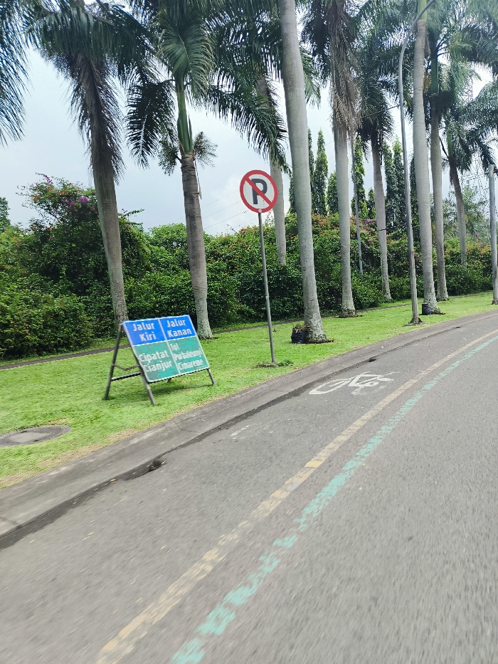 A paved road in Padalarang, Indonesia, with a bike lane marked in white and light blue paint. On the right side of the road is a row of tall palm trees. There is a sign that reads "Jalur Kiri" (Left Lane) and "Jalur Kanan" (Right Lane) with the words "Cipatat Padalarang" below. There is another sign on a metal pole with a red circle and a white letter "P" inside, indicating "No Parking". The road curves slightly to the left in the distance. The pavement is gray and the grass along the edge of the road is green. The weather appears sunny.