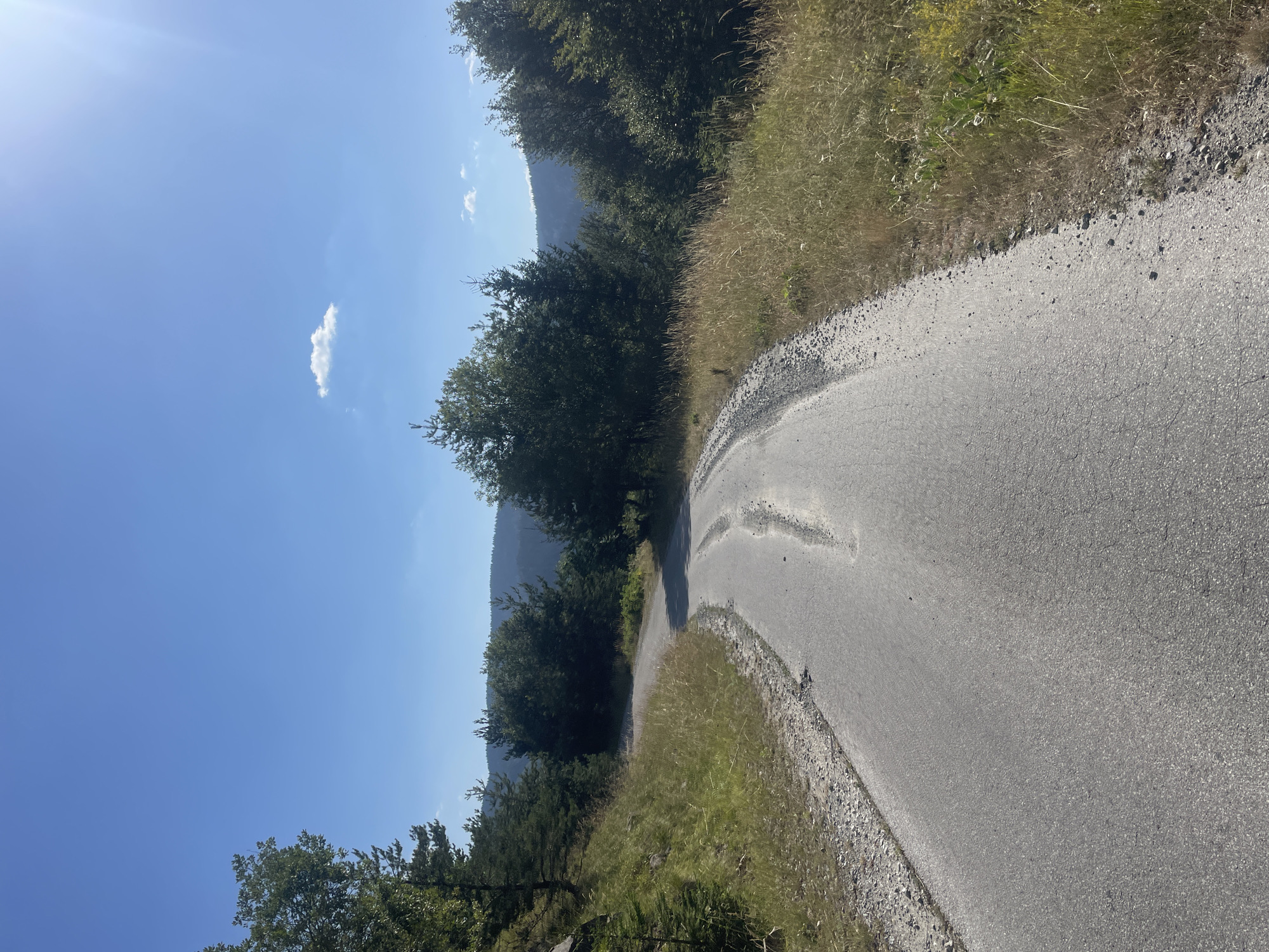 This image depicts a winding asphalt road through a mountainous, forested area under a clear blue sky with a few wispy clouds. The road surface shows signs of wear and tear, with some patches of gravel and cracks. To the left of the road, a steep, grassy embankment is covered in vegetation. The right side of the road is lined with dry grass and some wildflowers. In the background, a dense forest of evergreen trees covers the rolling hills. The sun is visible in the upper right corner, casting a bright glare. There are no people or animals visible in the image. The scene appears to be located in a rural, natural environment, possibly on a scenic route.