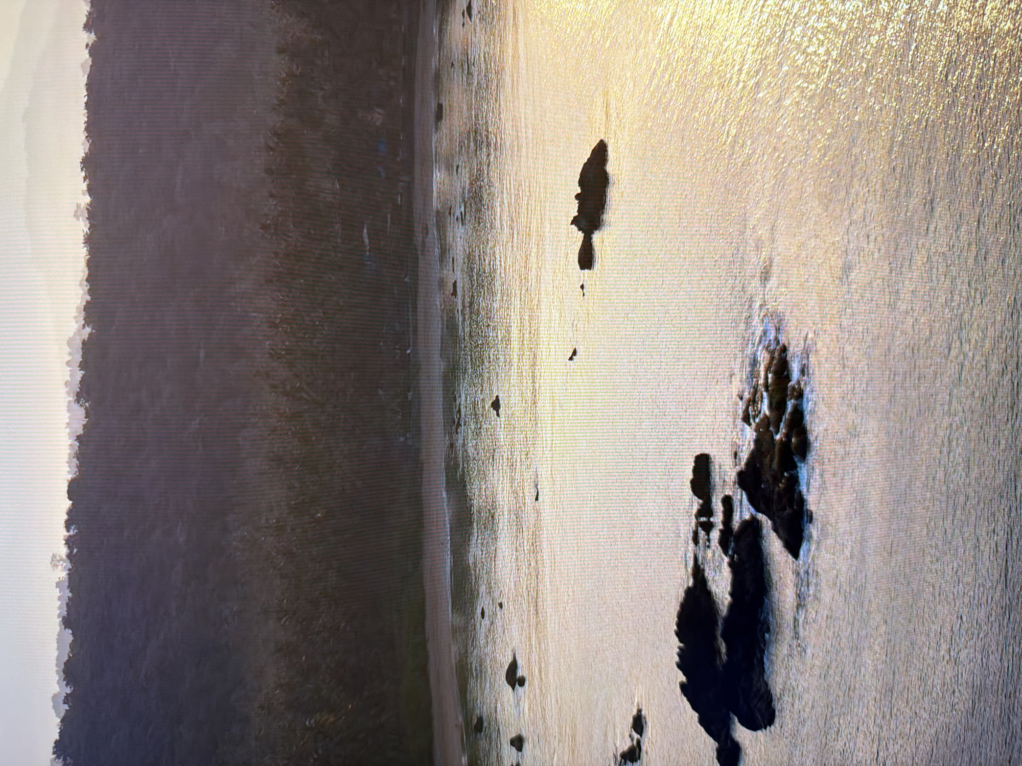 The image depicts a serene coastal scene at sunrise or sunset. The foreground features dark, jagged rocks partially submerged in the water, with small waves lapping around them. The water itself is calm and reflects the warm, golden light of the sky, creating a shimmering effect. In the middle ground, a sandy beach is visible, bordered by a dense line of palm trees. Beyond the trees, a lush, forested hillside rises, its slopes covered in vegetation. The background shows hazy mountains silhouetted against a pale, luminous sky. There are no people or man-made structures visible in this natural landscape. The scene is tranquil and untouched, suggesting a remote and peaceful location.
This image does not depict the city of Kyiv, Ukraine, as it is a coastal landscape with tropical vegetation, which is not characteristic of Kyiv's geography.