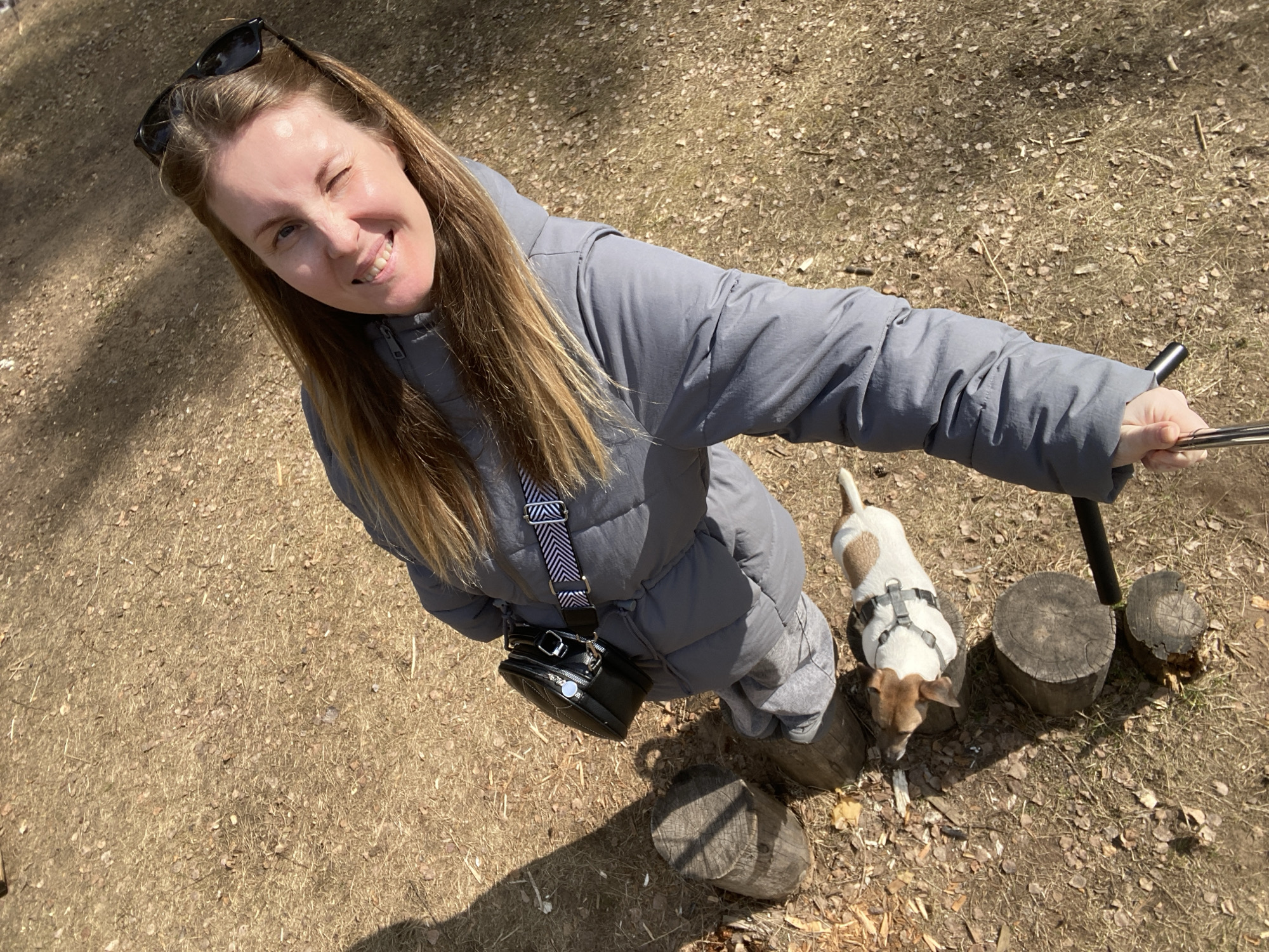 A woman wearing sunglasses on her head and a gray down coat smiles while taking a selfie with a selfie stick. She is standing in a park-like area on a ground covered with dry leaves and twigs. A small, white and brown dog stands next to her. Three tree stumps of varying sizes are near the woman and the dog. The strap of a black purse or camera bag crosses her chest. Noviy, Russia is not visible.