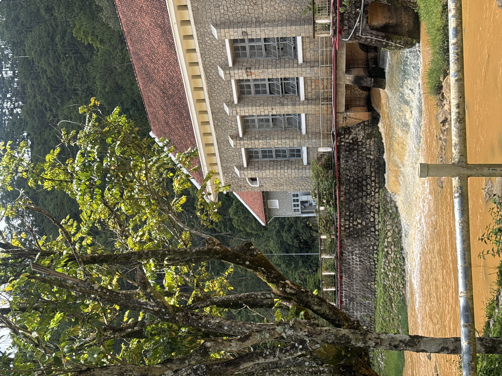 A vertical eye-level shot captures a building and a waterfall in Păng Tiêng 1, Vietnam. The building is constructed from grey stones and has multiple rectangular windows evenly spaced across its facade. It is topped with a red-tiled roof. Adjacent to the building, a waterfall cascades down a stone structure. The water is a murky, yellow-brown color. A rusty metal pole runs parallel to the waterfall. A tree with green leaves dominates the lower left corner of the frame, partially obscuring the scene. In the background, a dense forest can be seen. The lighting is bright and natural.