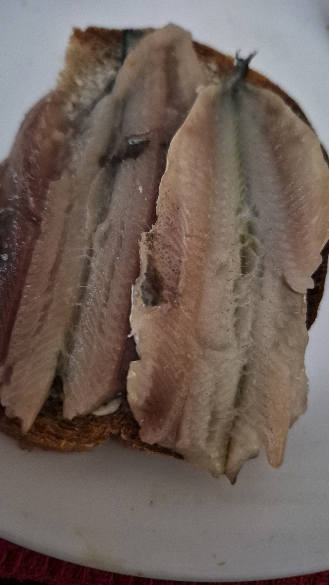 A close-up, overhead shot showcases a piece of dark bread topped with several raw, pinkish-white fish fillets. The fillets are arranged in overlapping layers, some appearing slightly translucent, revealing the natural striations of the fish. The bread is unevenly textured and appears toasted or slightly burnt around the edges. The overall presentation suggests a simple, possibly rustic meal. The image context, specifying Krauja, Latvia, places this scene within a residential or culinary setting in that location.