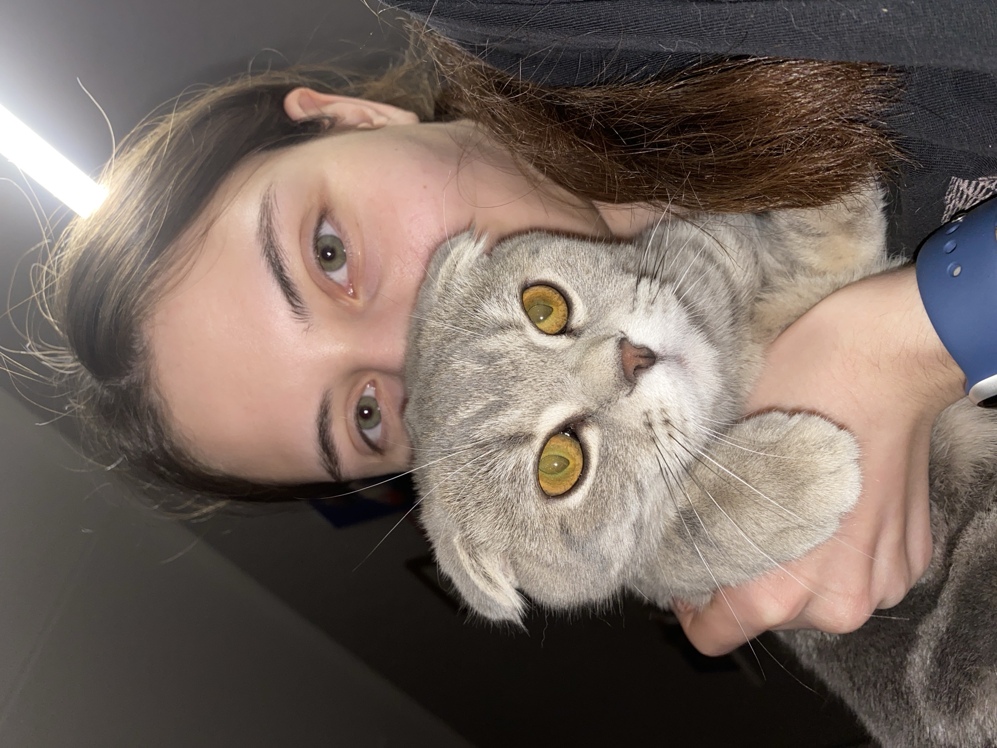 A fair-skinned person with brown hair and green eyes is holding a gray Scottish Fold cat. The person's face is close to the cat's head. The cat has yellow eyes. The location cannot be determined from the image.