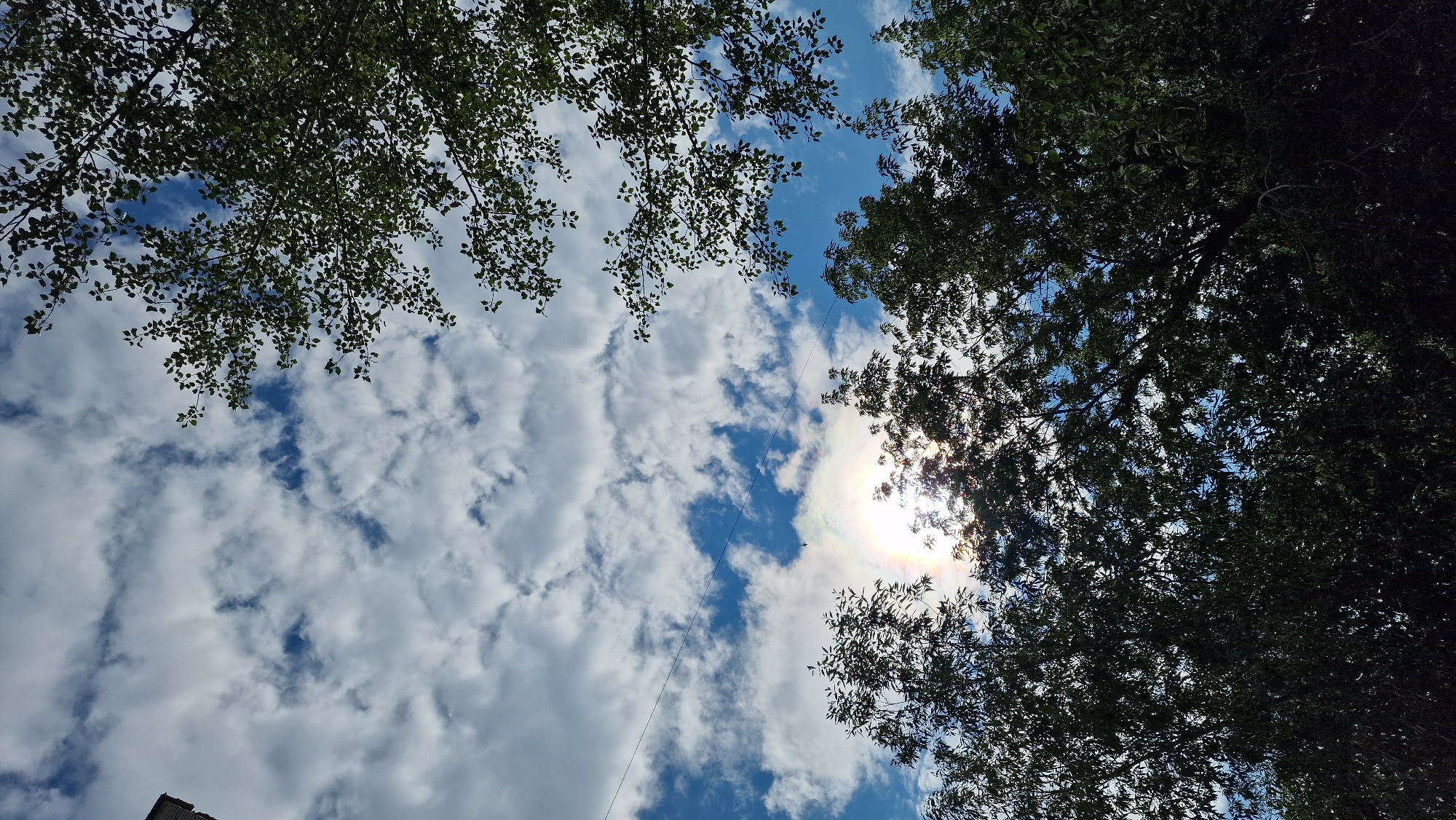 The image captures a sky view looking upwards, with the sun peeking through scattered clouds and silhouetted trees. The sun is partially obscured by branches and leaves, creating a bright halo effect with visible rainbow colors. The sky is a vibrant blue, interspersed with fluffy white clouds. Several trees with lush green foliage frame the lower and right portions of the image, with their branches reaching towards the sky. A thin wire runs horizontally across the upper portion of the sky. The scene appears to be an outdoor environment within the city of Kostanay, Kazakhstan, possibly a park or a residential area with mature trees.