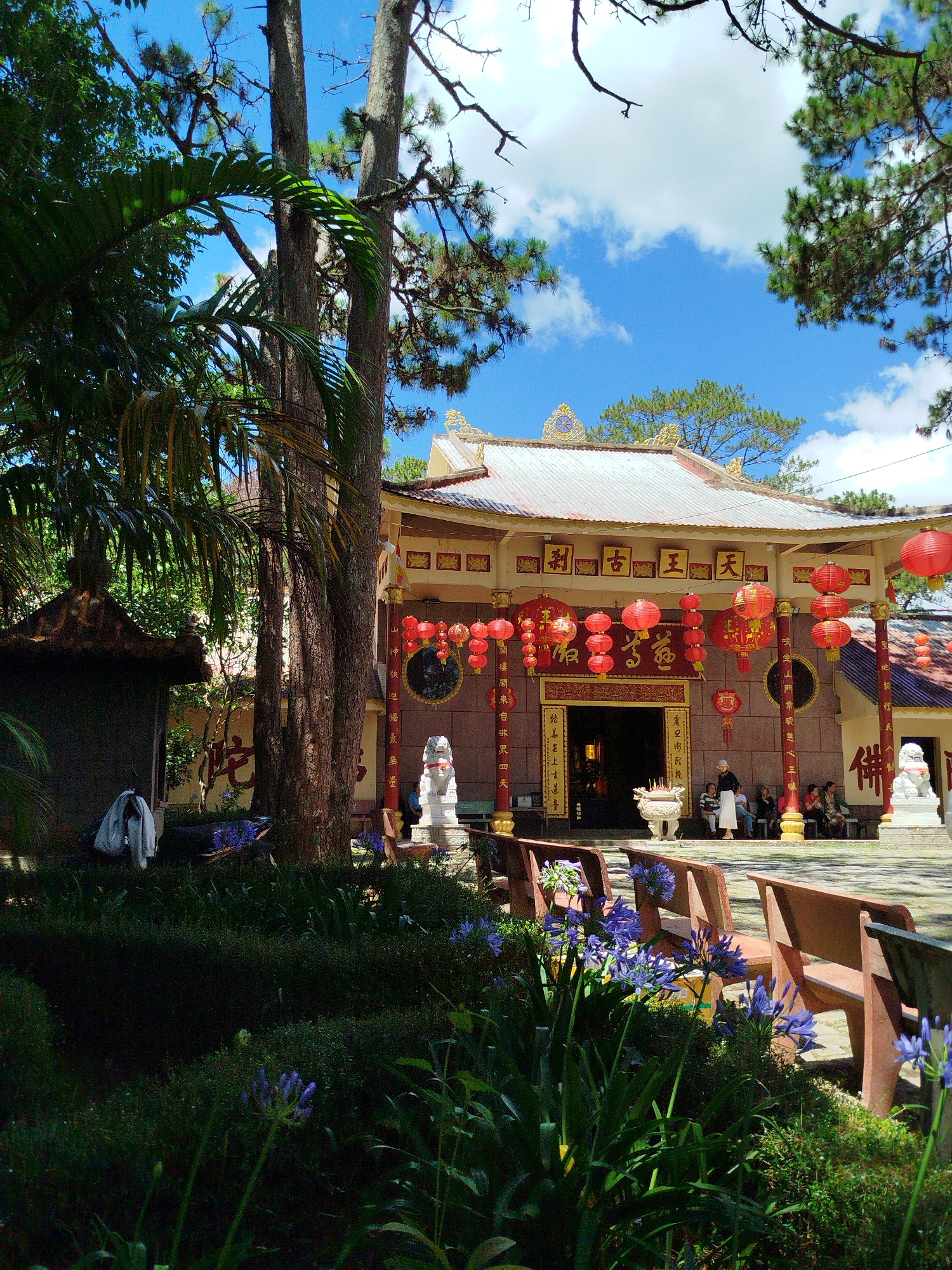 The image shows a Buddhist temple located in Da Lat, Vietnam. The temple features a tan exterior with red pillars and is adorned with red lanterns. The roof is tiled and features ornate gold detailing. In front of the temple, benches are arranged among a garden of green plants and blue flowers. A statue of a lion sits on either side of the entrance. Several people are present in the image, some sitting on the benches and others near the temple entrance. The sky is blue with scattered clouds. The temple is partially obscured by trees.