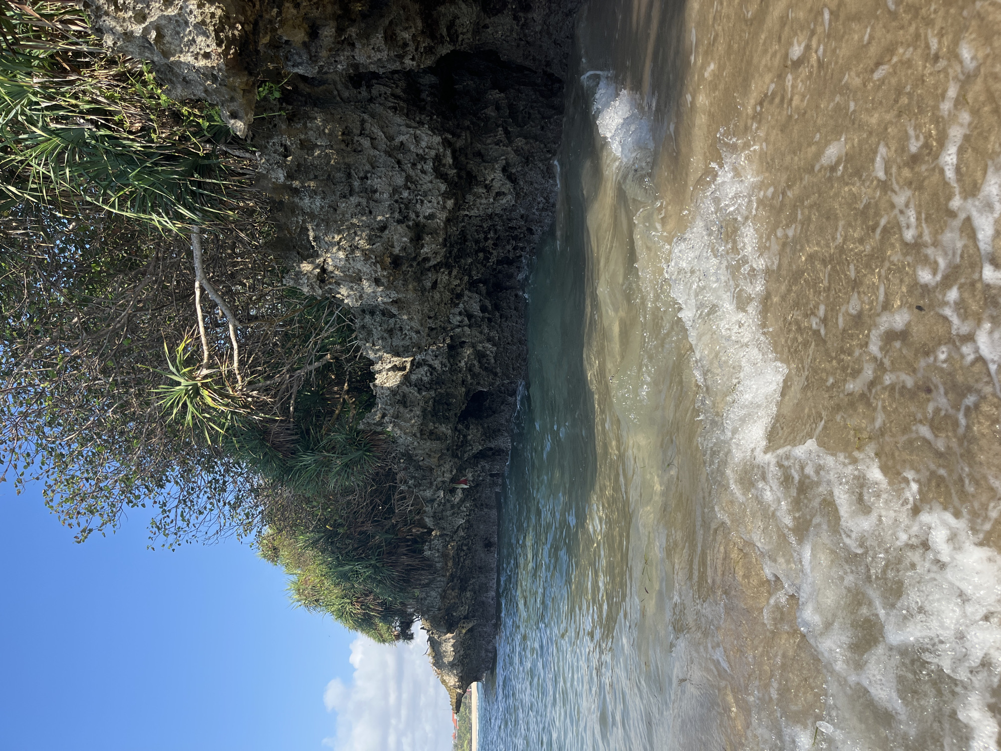 A bright, sunny day illuminates a tropical beach scene in Kuta Selatan, Indonesia. The foreground is dominated by shallow, clear turquoise water gently lapping against a sandy shore, creating small, foamy waves. The sand appears light brown with some dark specks and small pieces of debris. In the mid-ground, a rocky outcrop juts into the sea, covered with lush green tropical vegetation. The rocks are weathered and textured, with some overhangs and small crevices. The vegetation consists of dense, spiky leaves typical of coastal plants, interspersed with woody branches. The background reveals a clear blue sky with a few wispy white clouds on the left horizon. In the far distance, a hint of a coastline with buildings can be seen. The overall impression is one of a serene and natural coastal environment.
