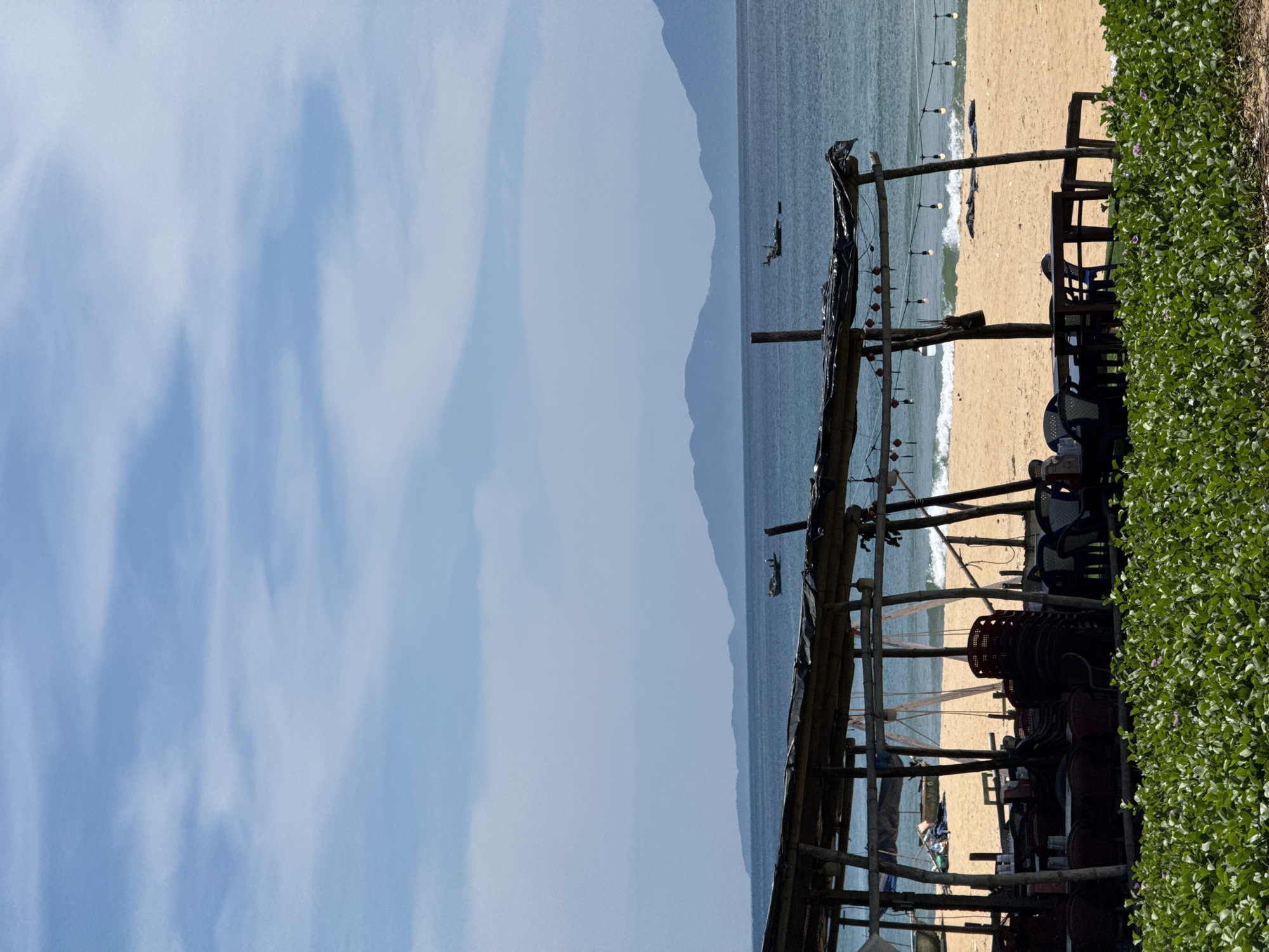 This is a photograph of a beach scene, likely in Da Nang, Vietnam, on a bright, partly cloudy day. In the foreground, a low-lying, dense carpet of green vegetation, possibly morning glory, lines the bottom edge of the frame. Behind this, a rustic, open-air structure with a thatched roof supported by wooden poles is visible. This structure appears to be a beachfront cafe or restaurant, with several tables and chairs set up underneath. Some chairs are stacked, while others are placed around tables. String lights are suspended from the roof of the structure.
Beyond the cafe, a sandy beach stretches towards the ocean. Gentle waves are breaking on the shore. In the middle ground, the calm blue ocean extends to the horizon. Two small fishing boats are visible on the water. In the far distance, a range of hazy, blue mountains forms the backdrop. The sky above is a clear blue with scattered white clouds. The overall impression is one of a relaxed, tropical beach setting.