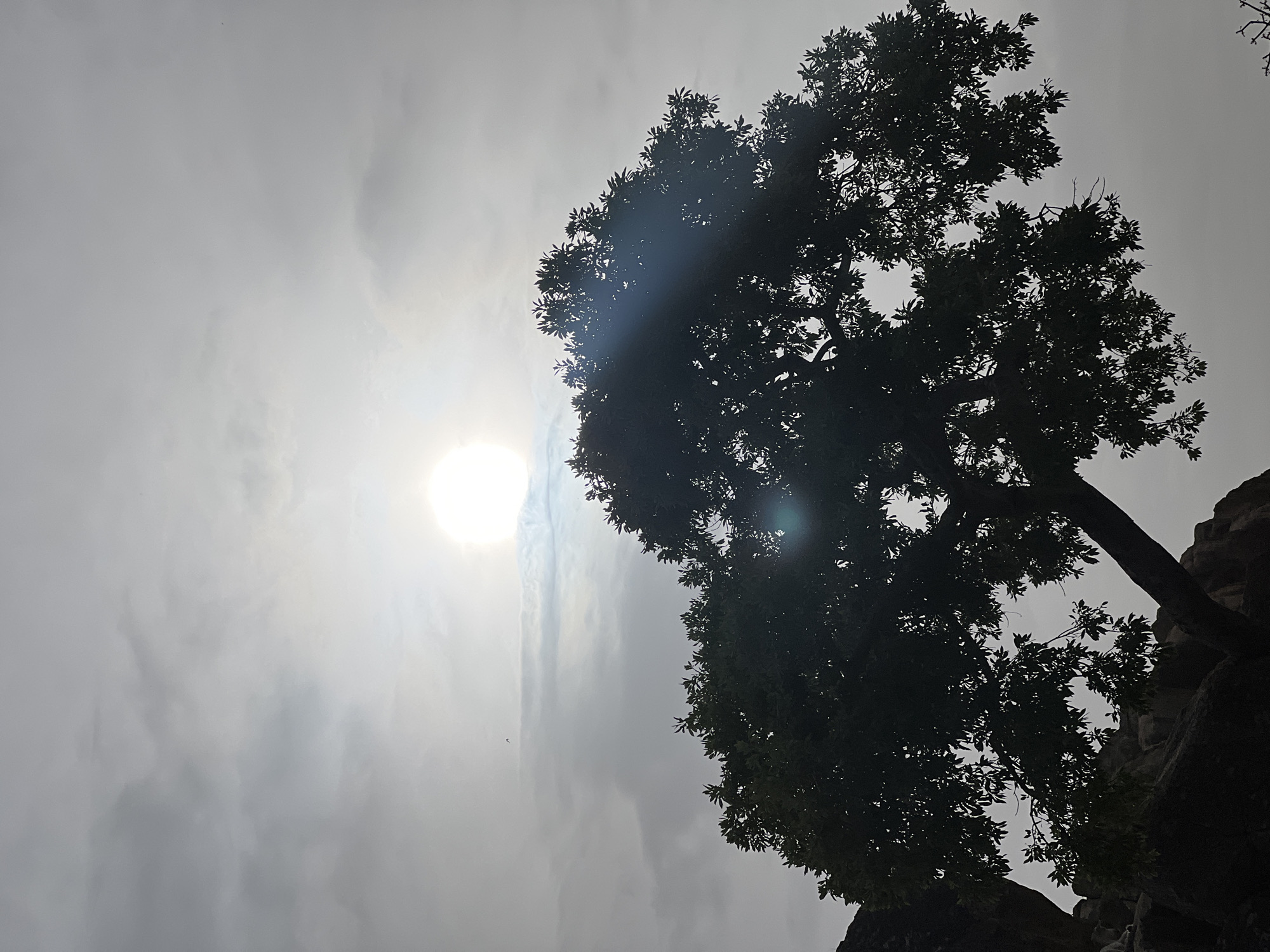 The image depicts a tree silhouette against a cloudy, bright sky, likely in Bukuru, Nigeria. The sun is partially obscured by clouds, creating a bright spot. The tree is silhouetted due to the strong backlight, with leaves and branches visible against the sky. The tree appears to be growing on a rocky terrain. The light in the sky indicates that the time of day is midday.