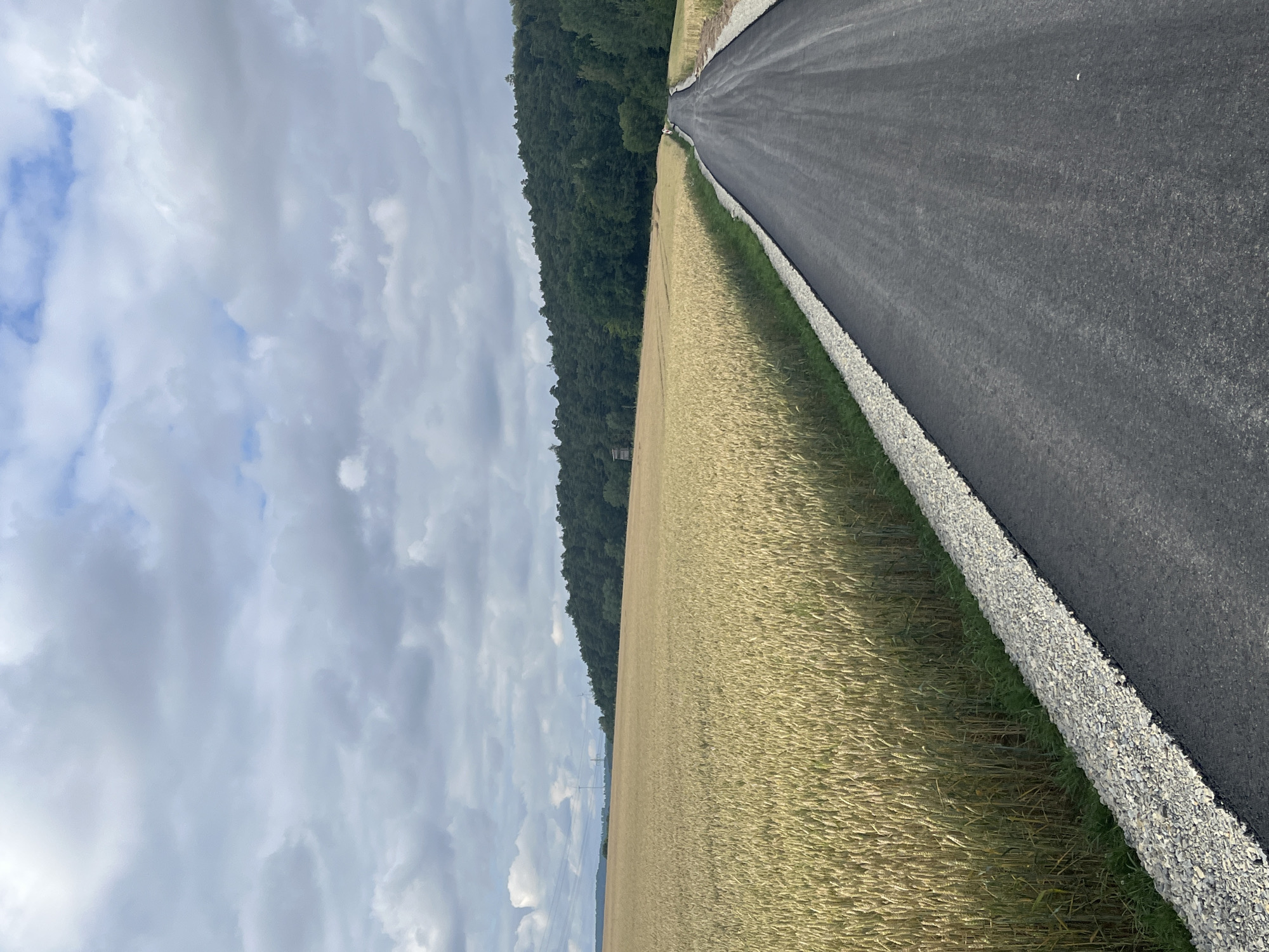 The image depicts a rural scene on an overcast day. A newly paved asphalt road curves to the right, bordered by a strip of white gravel on the left, which then meets a dense field of golden wheat. Beyond the wheat field, a dark green forest stretches across the horizon, with a tall, wooden hunting stand visible against the trees on the left side of the forest. The sky is filled with gray and white clouds. The location is Wiera, Germany. There are no people or animals visible in the image.
