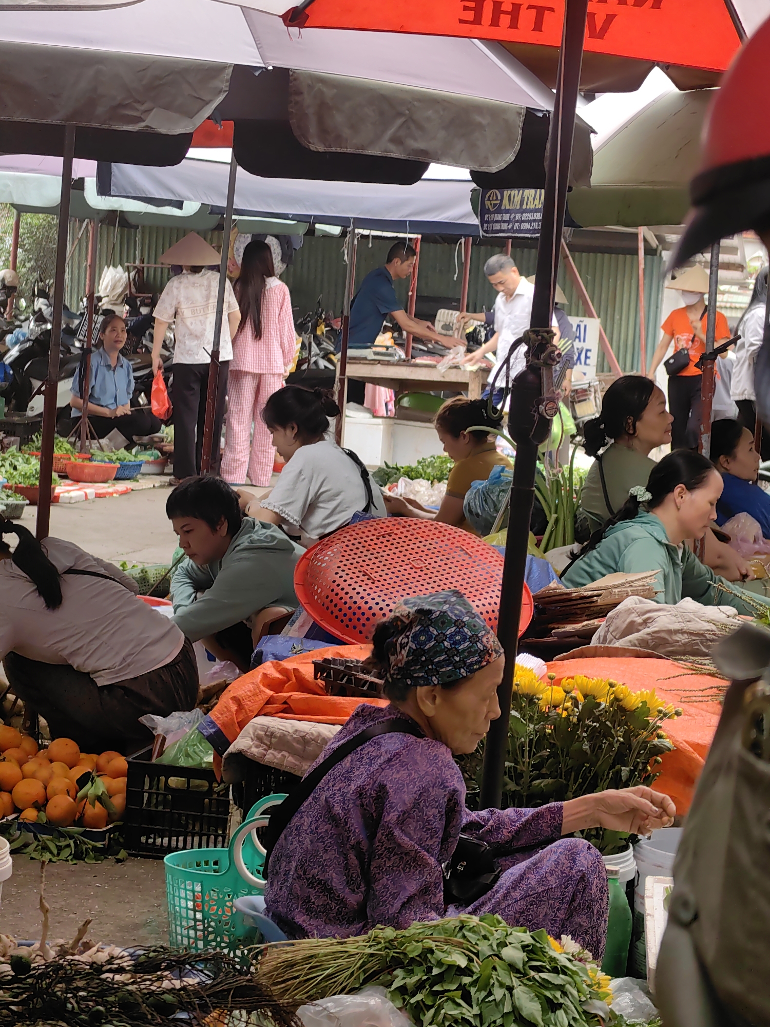 This image depicts a bustling market scene in Ha Long Ward, Vietnam. Many people are present, primarily women, either selling or purchasing goods. They are mostly seated or squatting on the ground around their merchandise. The vendors display a variety of items, including fresh produce such as oranges, green leafy vegetables, and yellow flowers.
People are interacting, presumably engaged in the process of buying and selling. The scene is set outdoors, under makeshift canopies and umbrellas, which provide shade. There are parked motorbikes visible in the background, suggesting a typical urban Vietnamese setting.
Signs with Vietnamese text and business names like "KIM TRAN" are visible, indicating local commerce. The overall atmosphere is lively and indicative of a local marketplace.