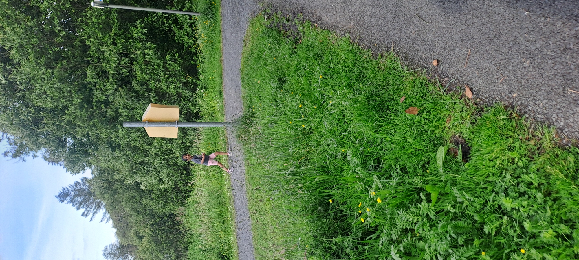 The image depicts a young girl jogging on a paved path. She is wearing a dark t-shirt and pink shorts. She is running towards the left of the frame, with her mouth open as if she is speaking or catching her breath. The path is surrounded by lush green grass and trees, suggesting an outdoor, park-like setting. In the background, there is a yellow signpost. The sky is visible at the top of the image, with some clouds. The overall scene is bright and appears to be a pleasant day. This image could be located in Lough Lannagh, a popular recreational area in Castlebar, Ireland, known for its walking trails and natural beauty.