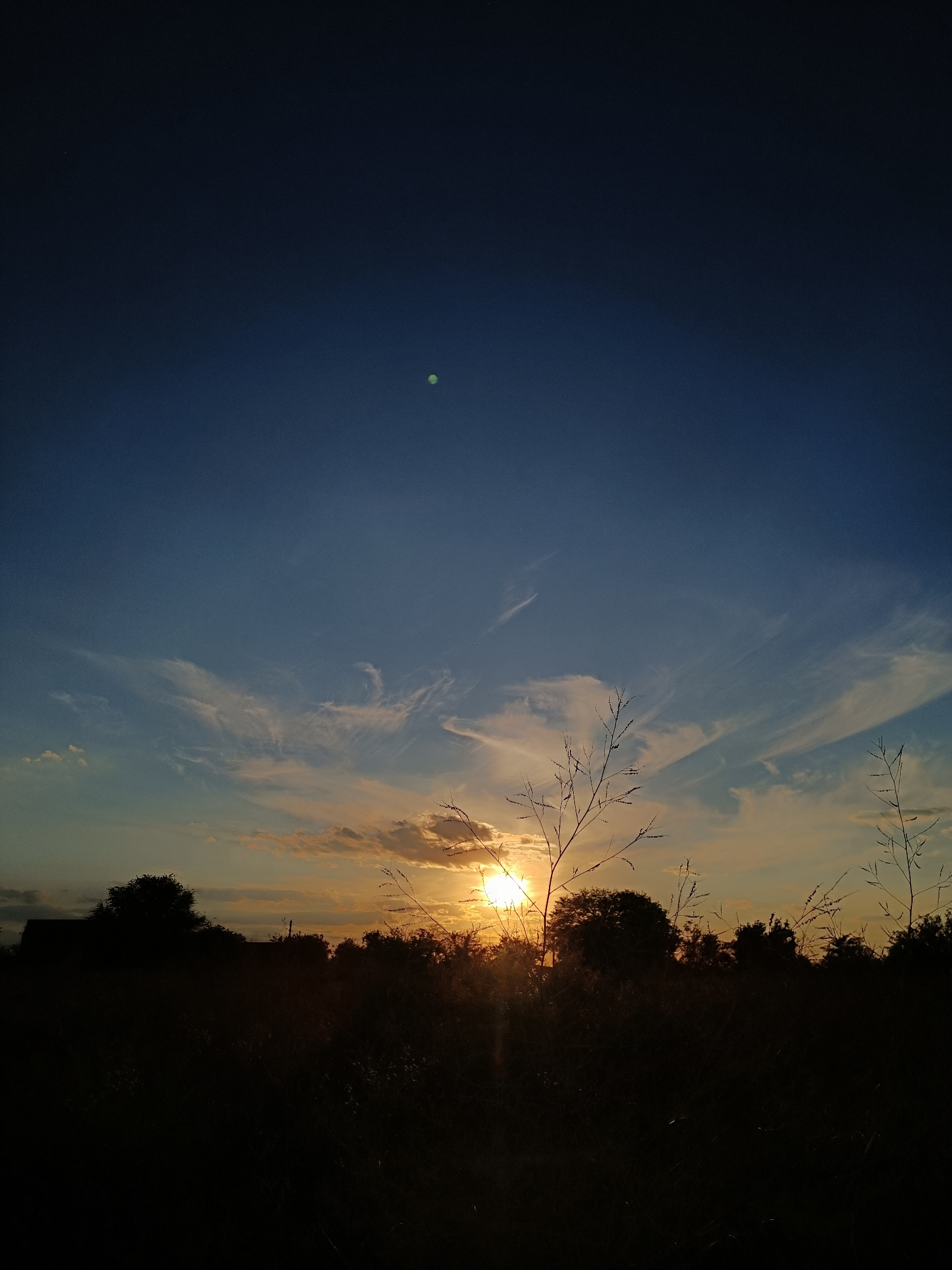 A silhouetted landscape is depicted at dusk, with a prominent sunburst at the horizon, partially obscured by trees and foliage. The sky transitions from a deep blue at the top to lighter shades of blue and orange near the horizon, with wispy clouds scattered across the upper portion. A faint, greenish circular object is visible in the upper portion of the sky. The foreground is a dark silhouette of vegetation and a structure that could be a building or shed on the left side. The overall scene suggests a rural or suburban setting during sunset.