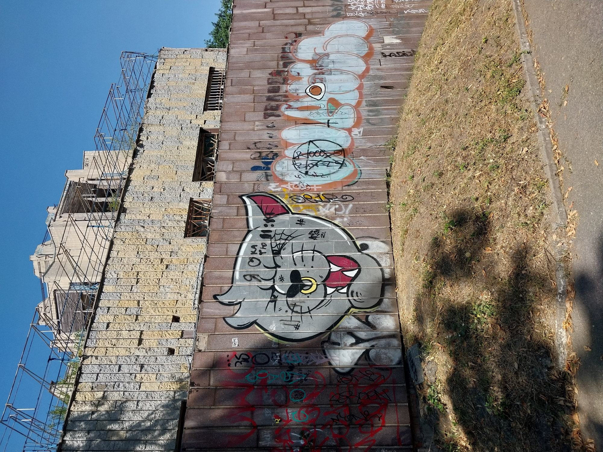 The image captures an urban scene in Dnipro, Ukraine, dominated by a large, corrugated metal fence covered in graffiti. The fence forms a barrier in front of a textured, block-style concrete wall, which in turn supports a dilapidated building with visible scaffolding and structural elements.
On the fence, the graffiti is diverse. To the left, there are abstract red and green spray-painted tags and symbols. The central focus of the graffiti is a large, cartoonish gray cat character with sharp teeth, wide yellow eyes, and a pink inner ear. The cat is depicted with a fierce or mischievous expression. To the right of the cat, there is a bubble-style graffiti tag in light blue and orange, with an orange circle resembling an egg in the center of one of the letters. More graffiti, including tags and dates like "2021," is visible further to the right.
The ground in front of the fence is a dry, grassy slope with patches of weeds and fallen leaves, indicating a warm, possibly dry season. A concrete curb separates the grassy area from an asphalt road in the foreground. The sky above is clear and blue, suggesting fair weather. The overall impression is one of urban decay and artistic expression, common in post-industrial landscapes.