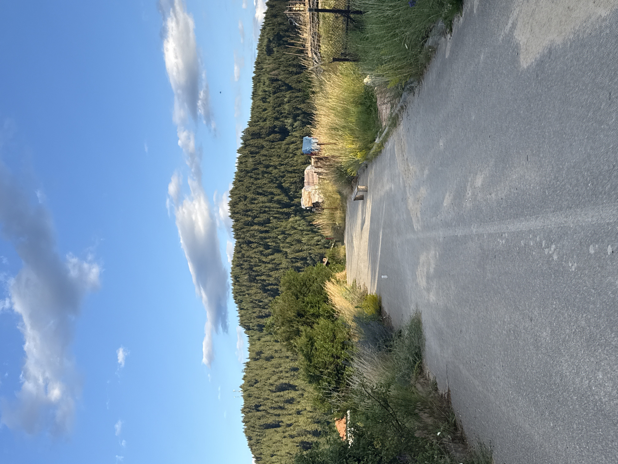 This is a vertical, eye-level, full shot of a paved road leading uphill towards a densely forested hill under a blue sky with scattered clouds. On the left side of the road, tall, dry grass and green bushes are visible, with a hint of a red-tiled roof of a house in the distance. On the right side, more tall grass, a chain-link fence, and a wooden bench are present. The road itself is gray asphalt with a visible white line down the center. The forested hill fills the background. The scene appears to be in or near the city of Barutin, Bulgaria, given the overall landscape and vegetation.