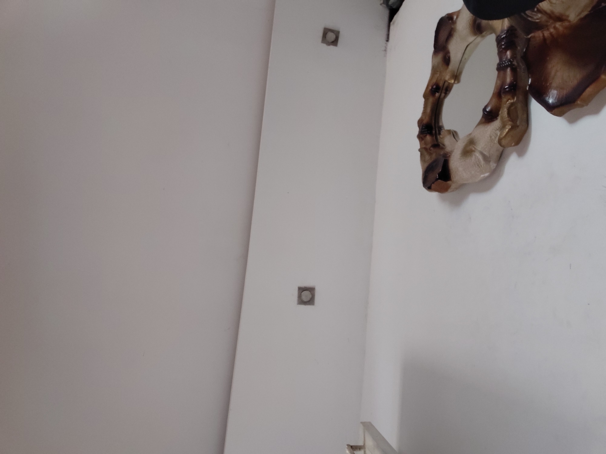 The image displays an indoor scene, likely within a room or hallway in Santa Ana, Venezuela, characterized by plain white or very light gray walls. The perspective is slightly tilted, creating diagonal lines for what would normally be vertical wall edges.
On the central wall, two square-shaped, metallic or silver-toned objects are mounted at different heights, possibly electrical outlets or small light fixture bases. A clear vertical line runs along the left side of this wall, suggesting a corner or the edge of a flat panel.
On the right side of the frame, a distinct decorative object is affixed to the wall. This piece features an intricate, organic design, resembling stylized branches or a skeletal form. It is crafted from a material that mimics natural wood, displaying a range of brown, tan, and dark amber hues, with a somewhat glossy finish. A small, dark, reflective surface, possibly a mirror, is integrated into its structure. A partially obscured dark object is visible at the very top edge of the frame, above the decorative item.
A small section of a light-colored, horizontal surface, possibly a shelf or furniture piece, is visible at the bottom right corner of the image.
No people or specific activities are depicted. There is no visible text. The lighting suggests an interior setting, but there are no cues indicating the time of day or outdoor weather.
