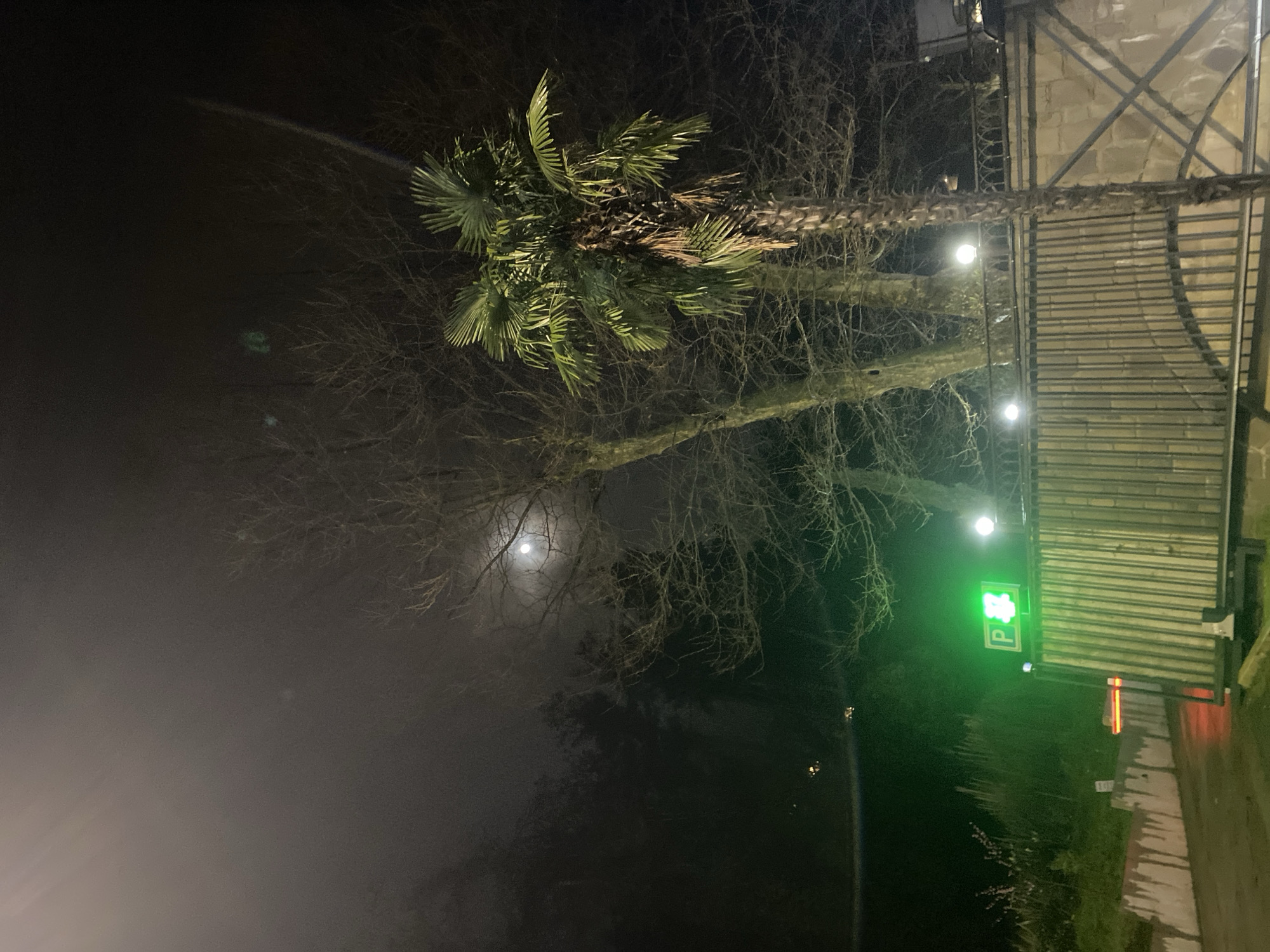 The image shows a nighttime scene in what appears to be a parking area with a green "P" sign illuminated, possibly indicating a parking space. A palm tree is visible, illuminated from below, along with other bare trees. There's a structure with vertical lines, possibly a fence or wall. In the background, a faint, round light source suggests the presence of the moon through a hazy or foggy atmosphere. While the image provides general context, pinpointing the exact location in Sochi, Russia, isn't possible without additional information.