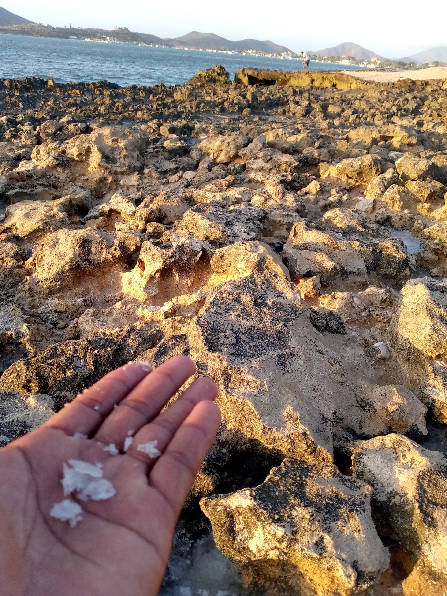 A low-angle, close-up captures a hand holding salt crystals on a rocky shore in Juan Griego, Venezuela. The foreground features the partially blurred hand, with flakes of salt resting on its palm. The rocky terrain in the background is composed of light brown and dark gray stones, creating a textured surface. In the mid-ground, the Caribbean Sea and the outline of distant mountains are visible. A person stands on the rocks near the water's edge. The overall lighting suggests either early morning or late afternoon.