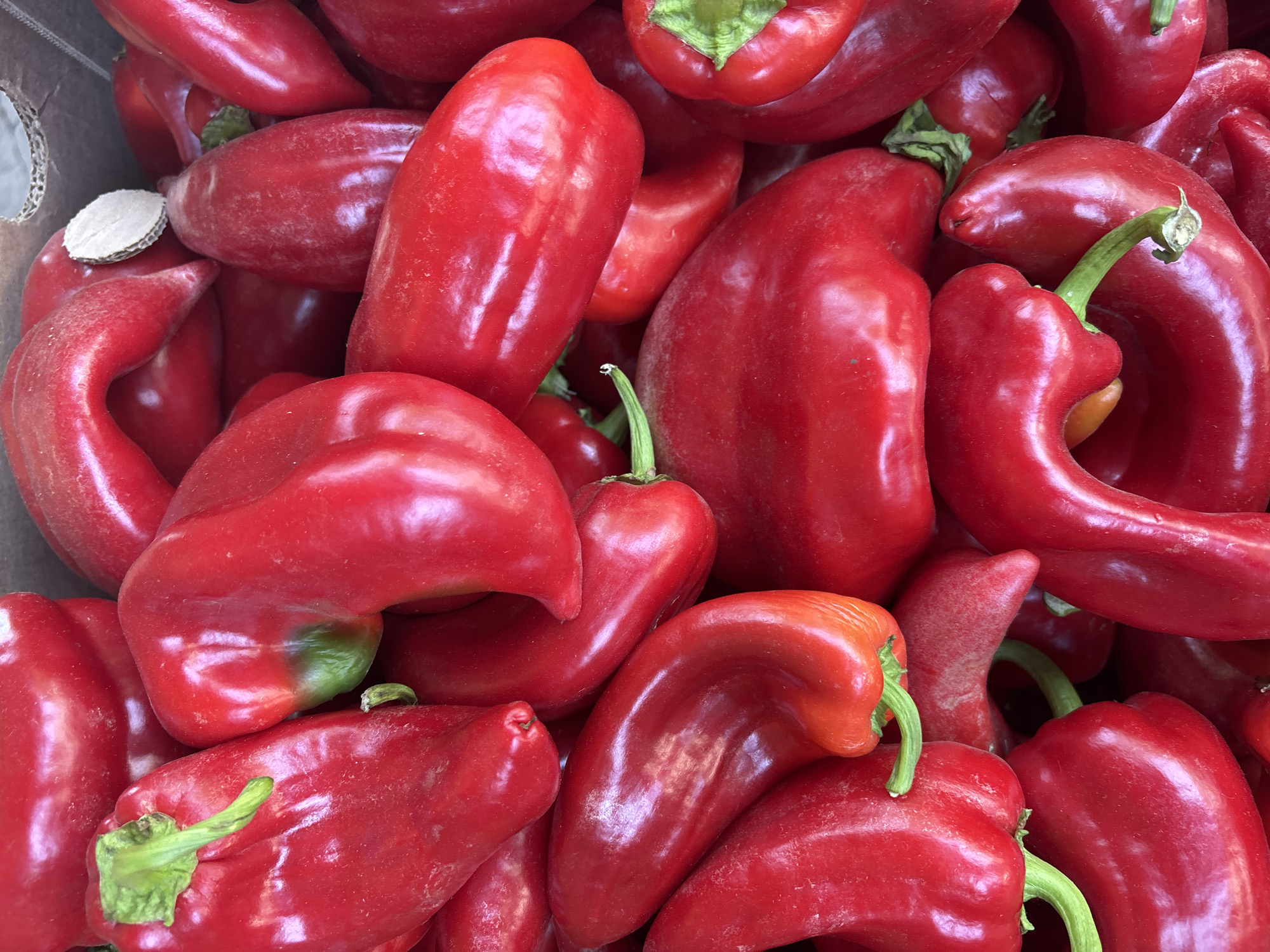 A pile of bright red bell peppers is shown in a close-up, overhead shot. The peppers are clustered together, filling the frame. Their glossy skin reflects the light, and some have a slight sheen. A few green stems are visible, adding a touch of contrast to the dominant red. The peppers appear fresh and ripe, suggesting they are likely at a market or grocery store. The background is blurred, focusing attention entirely on the peppers.