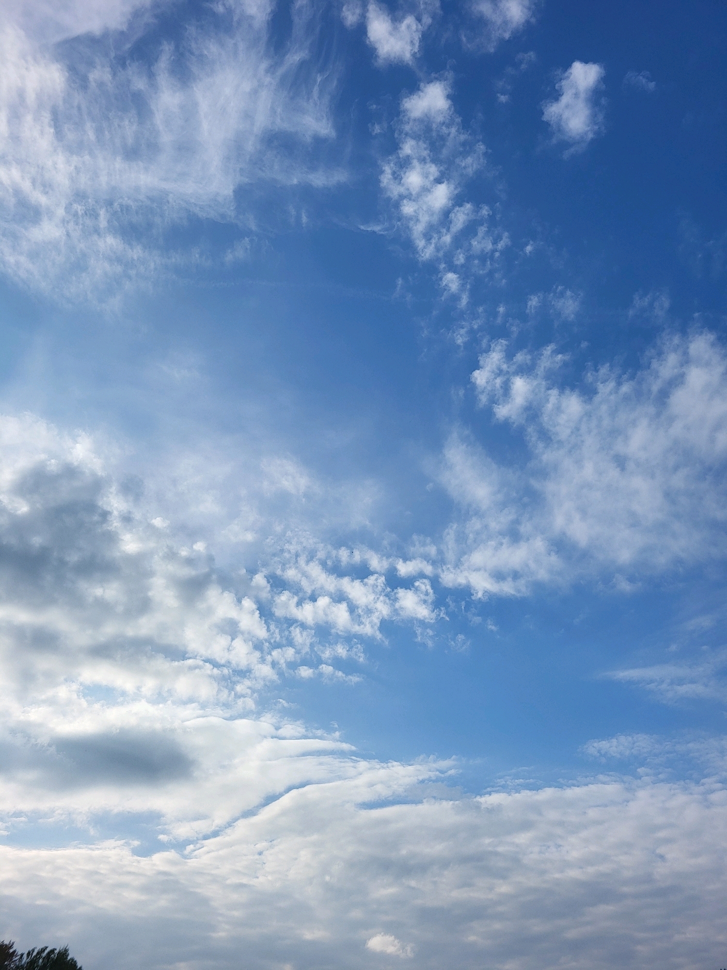This is a photograph of a sky filled with various types of clouds. The sky is a vibrant blue, with patches of white and gray clouds scattered across it. Some clouds are wispy and thin, resembling brushstrokes, while others are more dense and puffy. The lower part of the image shows some darker, heavier clouds, possibly indicating an approaching weather change. In the very bottom edge of the frame, there are hints of dark green foliage, suggesting trees or bushes. There are no people, animals, or man-made structures clearly visible in the image. The scene is a natural outdoor environment. Without specific landmarks or distinctive features, the exact location in Jelgava, Latvia, cannot be determined from the image alone.
