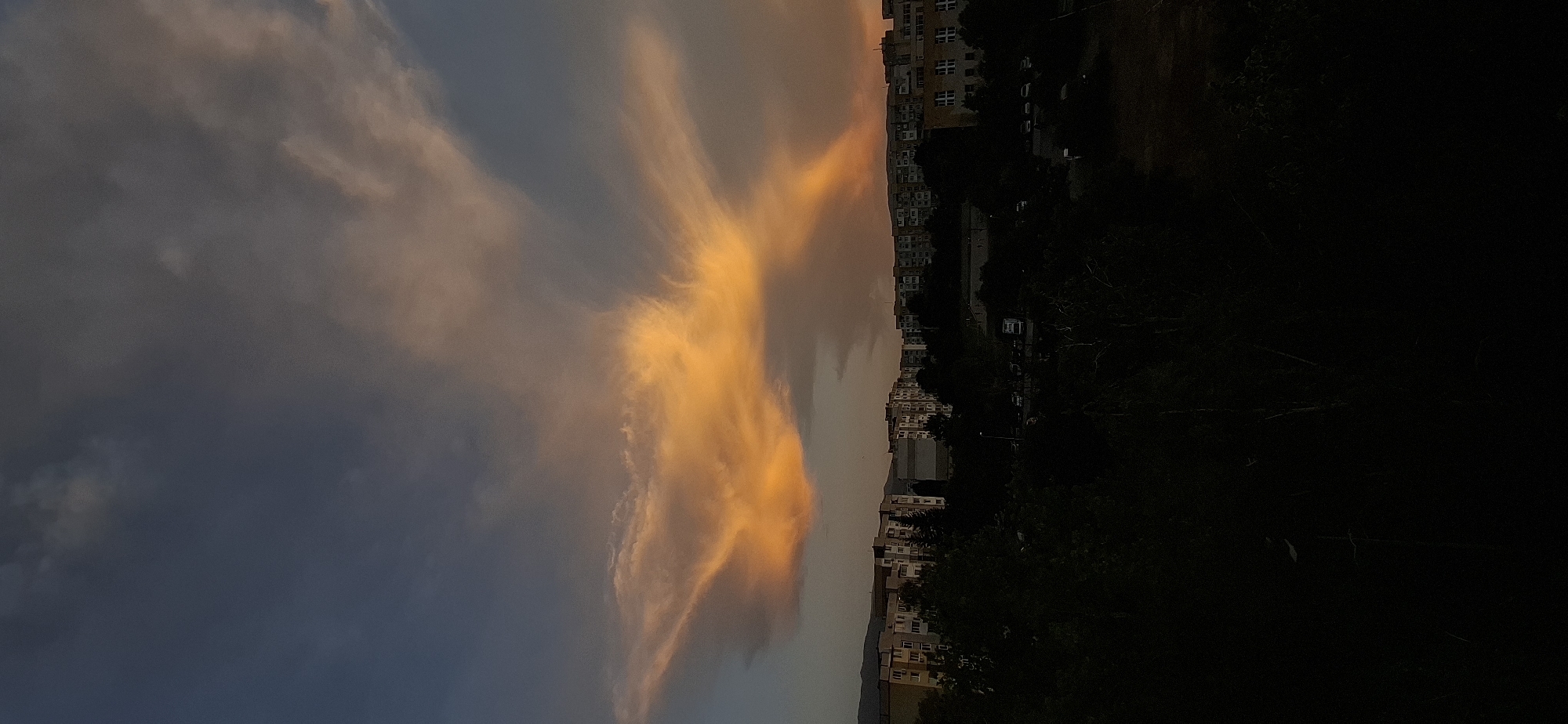 This is a photograph taken from a high vantage point, looking down onto a cityscape. The image is oriented vertically, with the sky on the left and the city and trees on the right. The sky is filled with dramatic clouds, painted with vibrant hues of orange and yellow, suggesting it is either sunrise or sunset. The lighting indicates it is either early morning or late evening. The city skyline is visible in the middle ground, characterized by multi-story buildings, some appearing to be apartment blocks. Trees and foliage dominate the right side of the frame, appearing dark and dense, suggesting a significant amount of vegetation or possibly a park area. There is no visible text in the image. The overall impression is one of a serene yet dynamic natural phenomenon (the sky) juxtaposed with the man-made environment of a city. The high angle suggests the photo was taken from a building or hill overlooking the city.