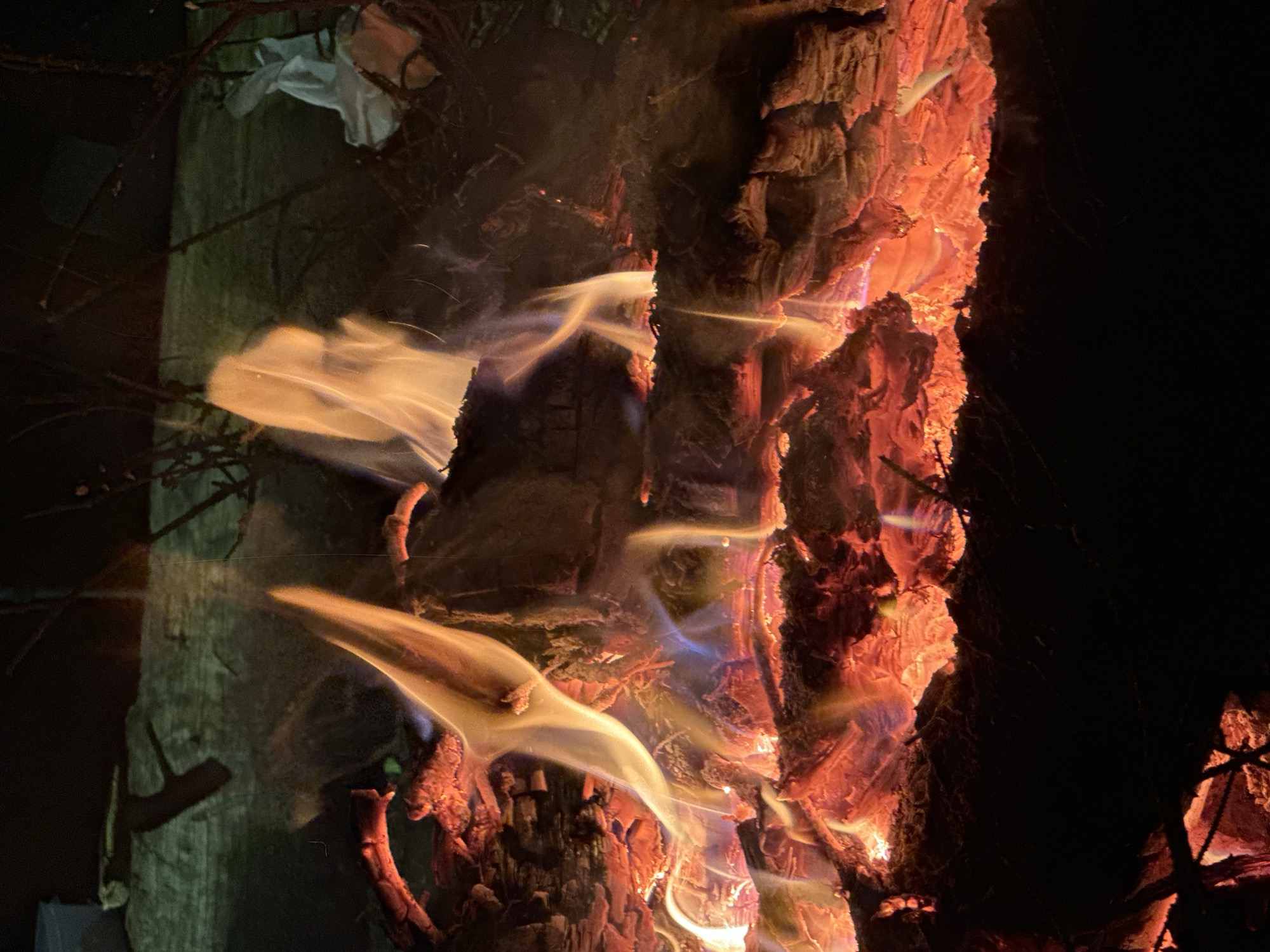 The image shows a close-up view of a burning tree trunk. The bark of the tree is charred and glowing red and orange with the heat of the fire. Flames are visible licking up the side of the trunk, with blue tinges in the core. The environment is dark, suggesting nighttime. The image does not contain any specific clues to determine the location in the city of Юзуфоўскі сельскі Савет, Belarus. It appears to be a natural setting where a tree is on fire.