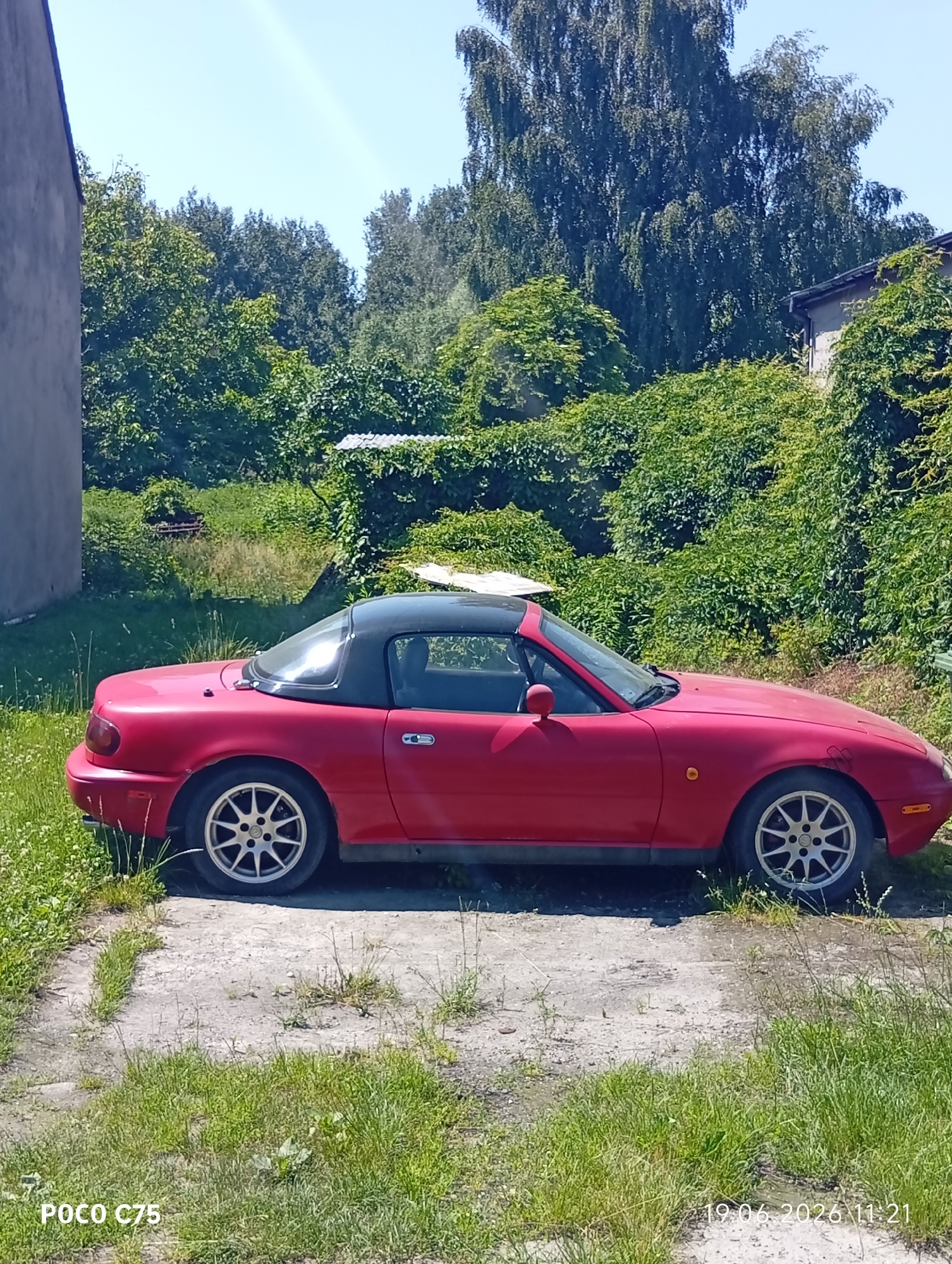 A red Mazda Miata convertible with a black soft top is parked on a gravel and grass patch in front of a brick building covered in dense green ivy. The car is facing right, with its driver's side visible. The background features a lush, overgrown garden with mature trees and clear blue sky above. A light gray building is partially visible on the left edge of the image, and another building with a dark roof is to the right, also covered in greenery. The timestamp "19.06.2026 11:21" and "POCO C75" are visible in the bottom right and left corners, respectively. The overall scene suggests a quiet, possibly rural or suburban setting, with the car appearing to be parked for an extended period given the overgrowth around it. The location is not specified in Wrocław, Poland, but is described based on the visual elements present.
