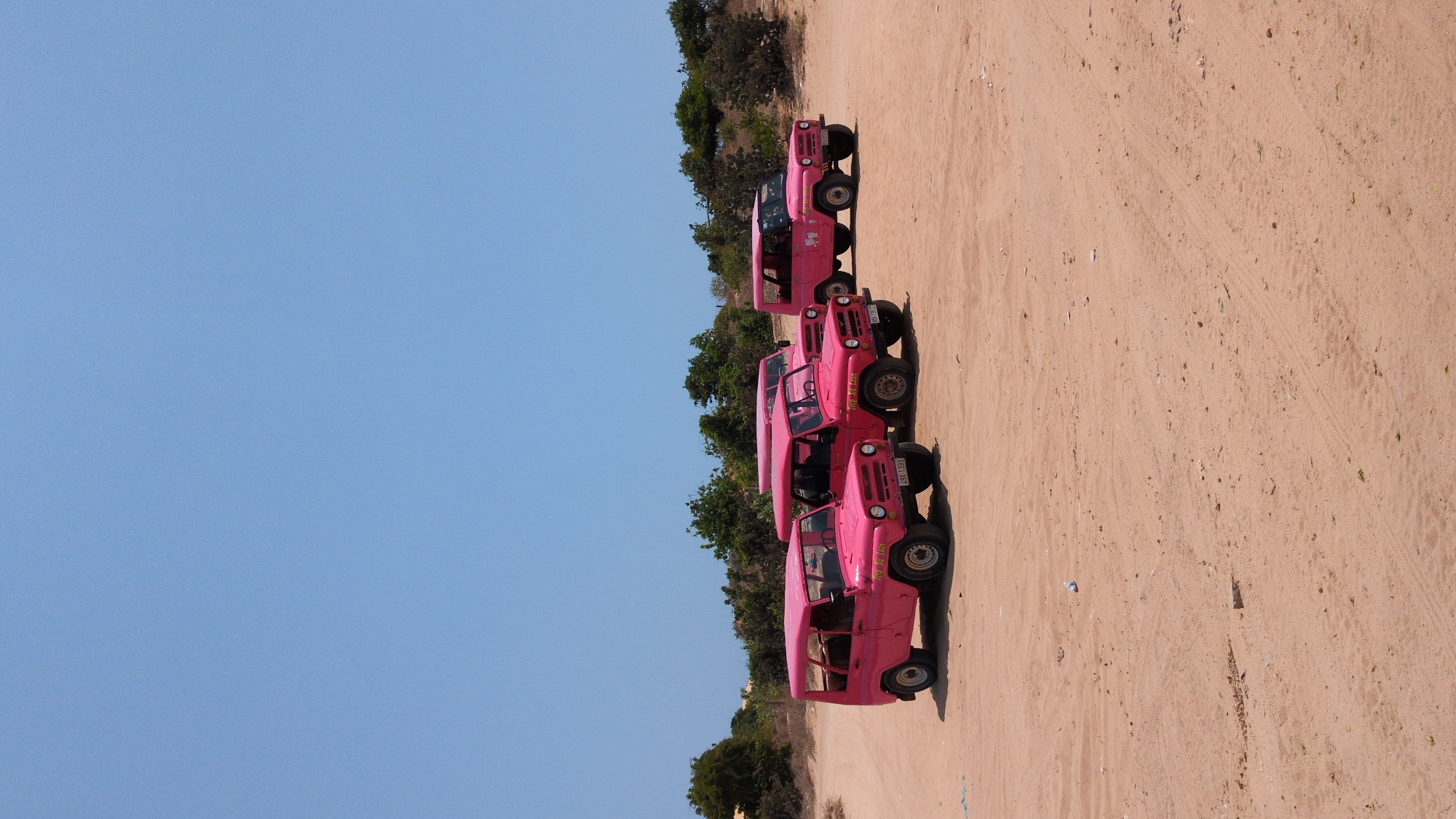 The image depicts a line of five pink SUVs parked on a sandy surface, likely a desert or dune area. A sparse line of trees and vegetation is present along the top edge of the frame. The sky is a clear, bright blue. The location is Phuoc Dinh, Vietnam, as this is where the photo was taken.