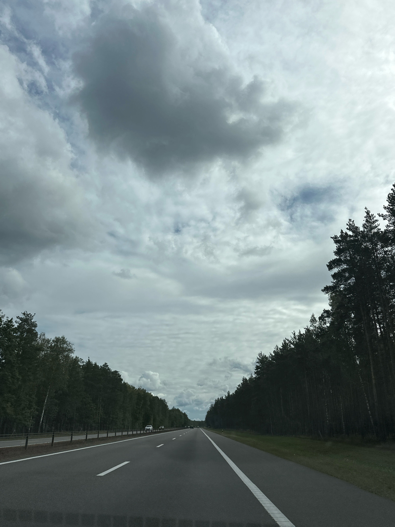 The image shows a view from a vehicle traveling on a highway in Лапіцкі сельскі Савет, Belarus. The road is asphalt with white lane markings, and it stretches into the distance. On either side of the road, there are dense forests of pine and birch trees. The sky is overcast with large, gray clouds, indicating a cloudy day. There are a few vehicles visible on the highway in the distance, but no people are clearly discernible. The overall scene depicts a travel scene along a tree-lined highway.