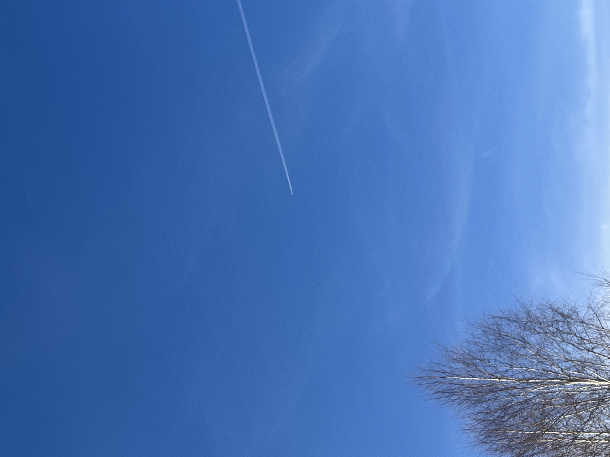 The image shows a bright blue sky with a contrail cutting across the upper left quadrant. Some very thin clouds are visible in the upper right quadrant. In the lower right corner of the image are the bare branches of a tree. The location is presumably near Фоки, Russia, as indicated in the prompt. No people are visible. The main subjects are the sky, contrail, and tree branches. The action is the apparent movement of the aircraft leaving the contrail. There is no direct interaction visible. The environment is daytime and clear.