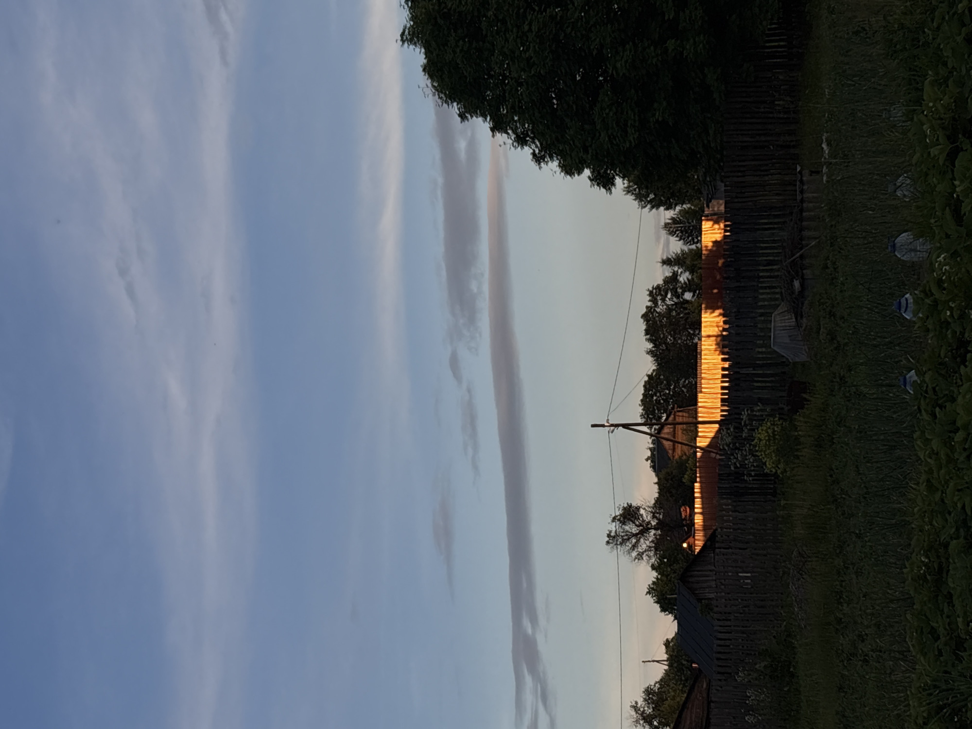 A wide-angle, low-angle photograph captures an outdoor scene at dusk in the village of Dresvyany, Russia. The sky is a pale blue with wispy, elongated clouds, some tinged with orange from the setting sun. In the mid-ground, a rustic wooden fence runs horizontally across the frame. Behind the fence, a row of buildings, likely houses or sheds, is illuminated by the bright, orange glow of the setting sun reflecting off their facades. The light creates a striking contrast against the darkening wooden fence and the shadowed foreground. The foreground is filled with dense, dark green vegetation, including what appears to be strawberry plants, with several plastic bottles, possibly used for watering, scattered among them. Trees frame the scene on the sides, with a particularly large, dark green tree dominating the right edge of the image. A wooden utility pole with wires is visible behind the fence in the center of the frame. The overall impression is one of rural tranquility at the end of the day.