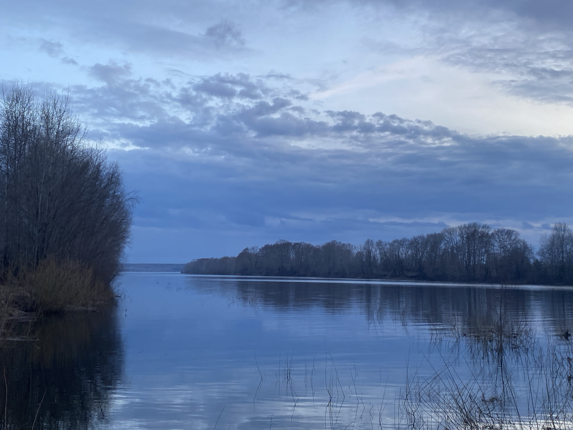 The image shows a wide river, likely the Kama River, in what appears to be a natural setting near Chaikovsky, Russia. The sky is overcast with a layer of blue-grey clouds, reflecting in the water. The riverbanks are lined with trees, primarily bare deciduous trees, suggesting it is late autumn or winter. The water is calm, with reeds visible in the foreground along the near shore. There is no evidence of people or any active human intervention in the scene. The environment is predominantly natural, indicating a location outside the immediate urban center of Chaikovsky.