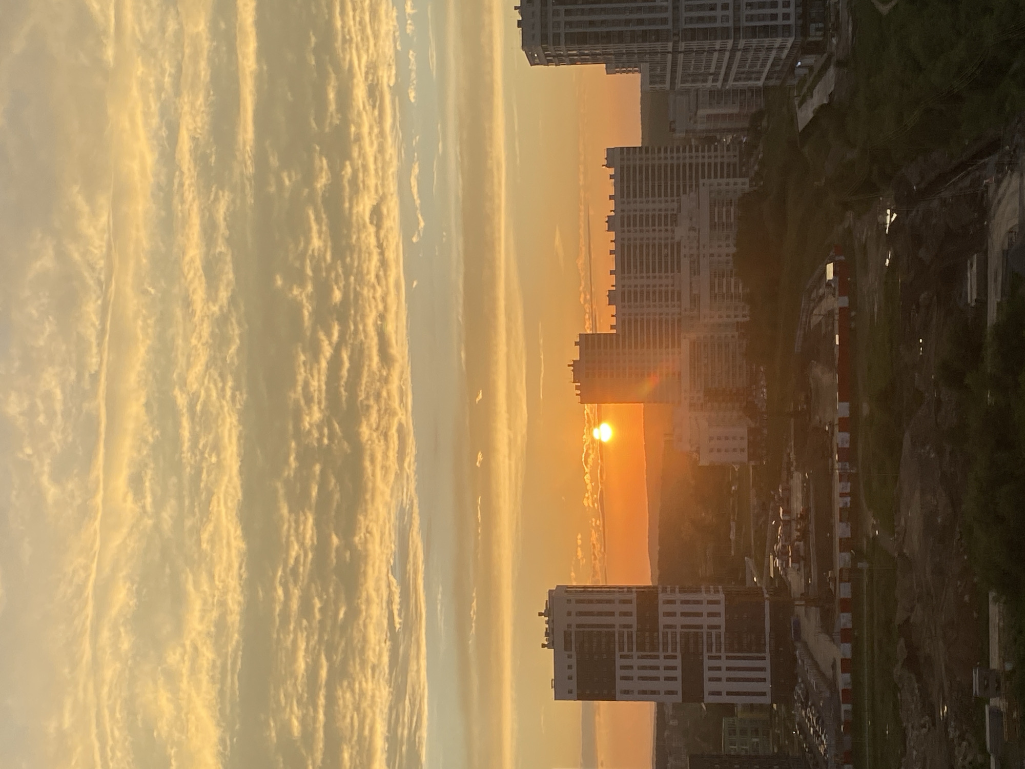 The image captures a sunset over a cityscape, likely Yekaterinburg, Russia. The sky is filled with a dramatic display of golden and orange clouds, illuminated by the setting sun, which appears as a bright orb just above the horizon line. In the foreground, several modern high-rise buildings dominate the urban landscape. On the left, a tall, white and dark-paneled building stands prominently. To its right, a cluster of lower, white apartment buildings stretches across the mid-ground. Further to the right, another tall, modern building with white and grey detailing is visible. Below the buildings, the ground level shows signs of construction and development, with exposed earth, stacks of materials, and what appear to be roads or pathways. Vegetation, including trees and grass, is interspersed throughout the scene, particularly in the lower parts of the image. The overall impression is one of a developing urban area bathed in the warm light of sunset.