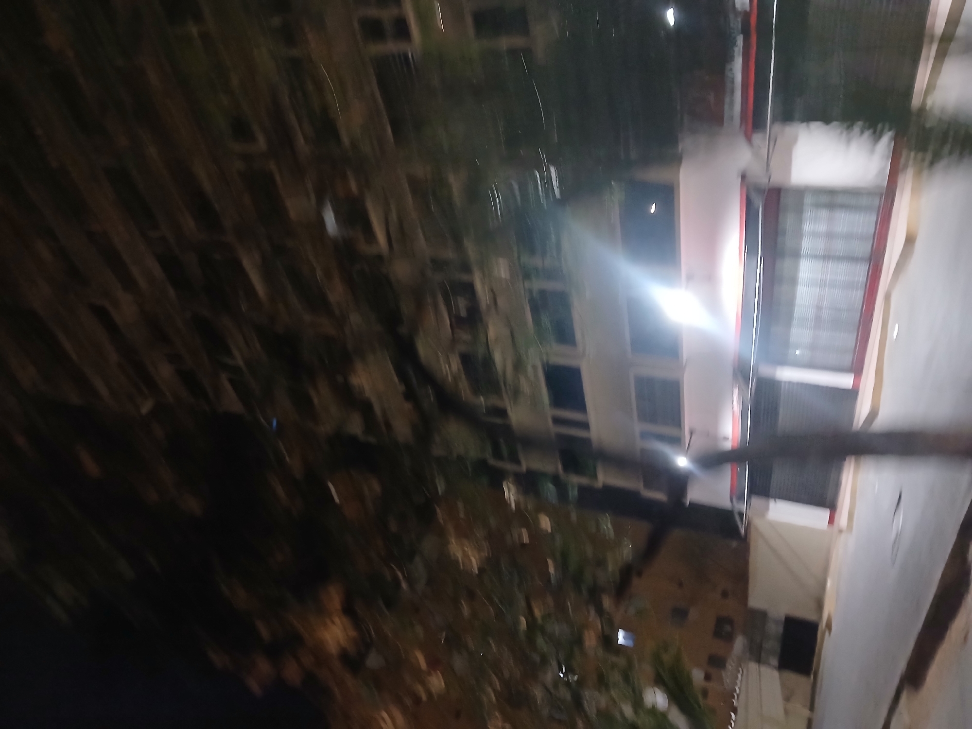 The image shows a nighttime scene in an urban environment, possibly Juan Griego, Venezuela. There are two main buildings visible: a tall apartment building with numerous windows on the left side and a shorter building on the right, featuring a window with a red frame. The apartment building is partially obscured by trees and foliage, while the right building is adjacent to a street or sidewalk. A tree branch extends across the lower center of the image. There is some glare or bright light sources present, making details difficult to discern. The overall scene suggests an urban residential area at night.